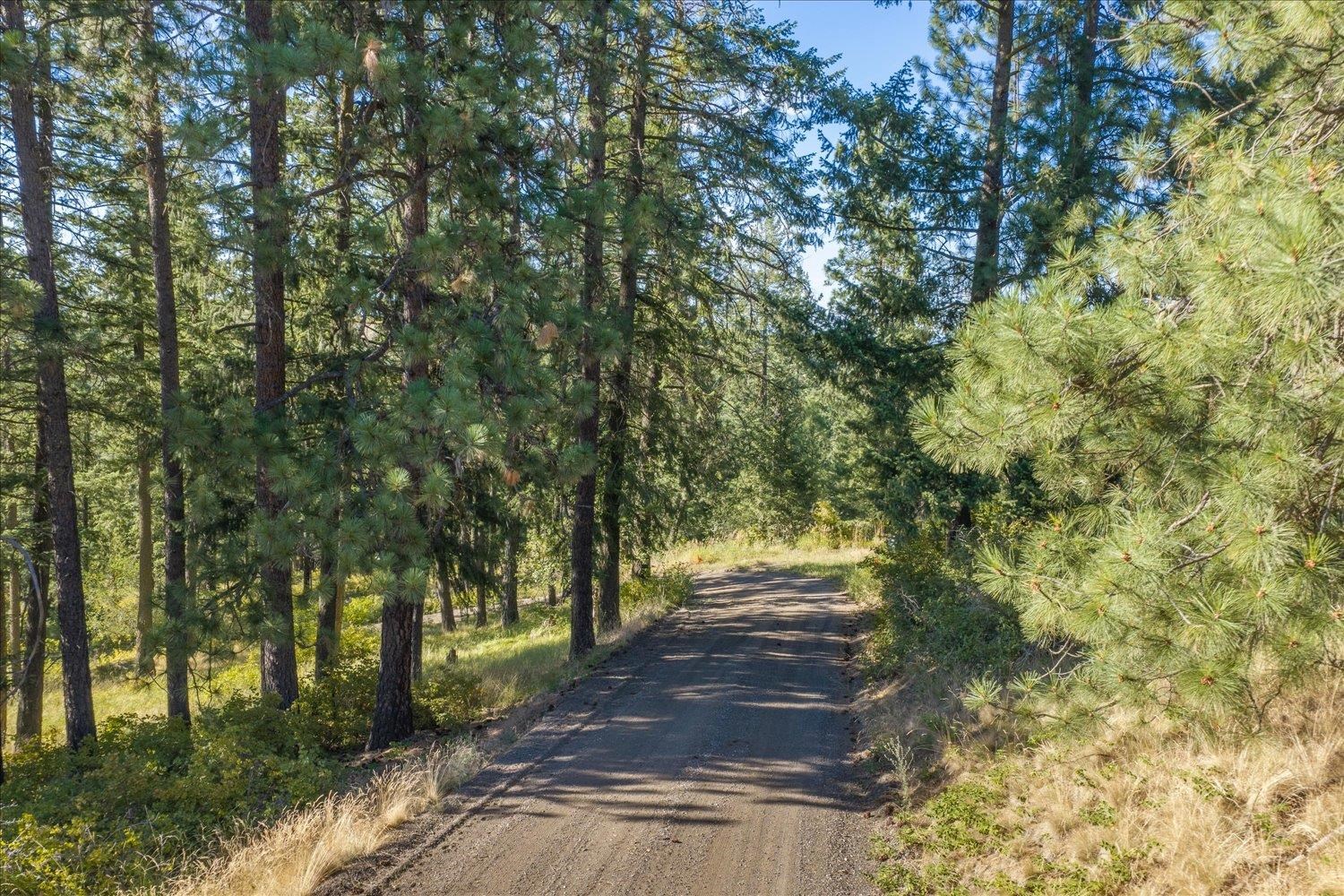 16216 N DALTON Rd - Photo 3
