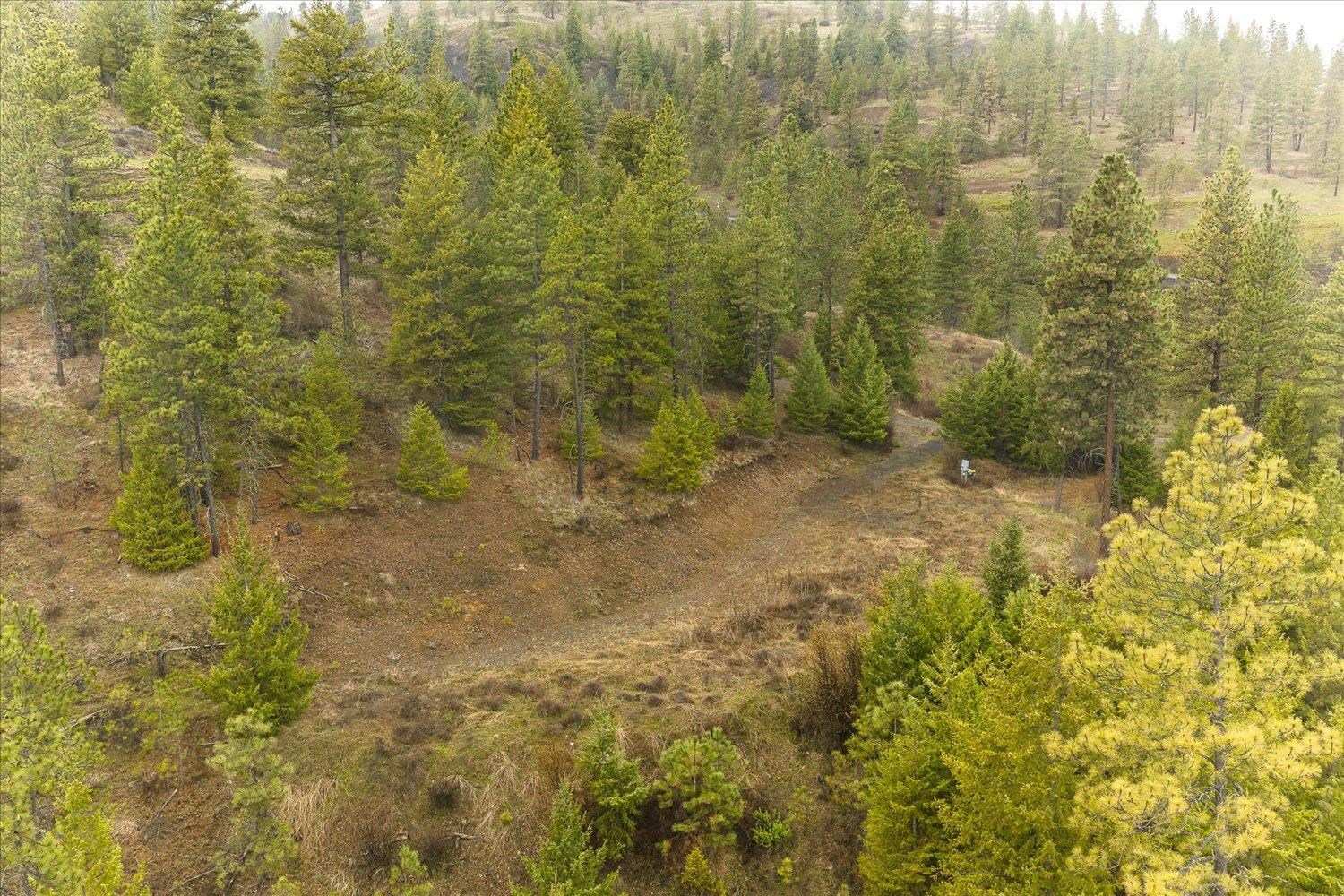35394 Spruce Grouse Ln N - Photo 2
