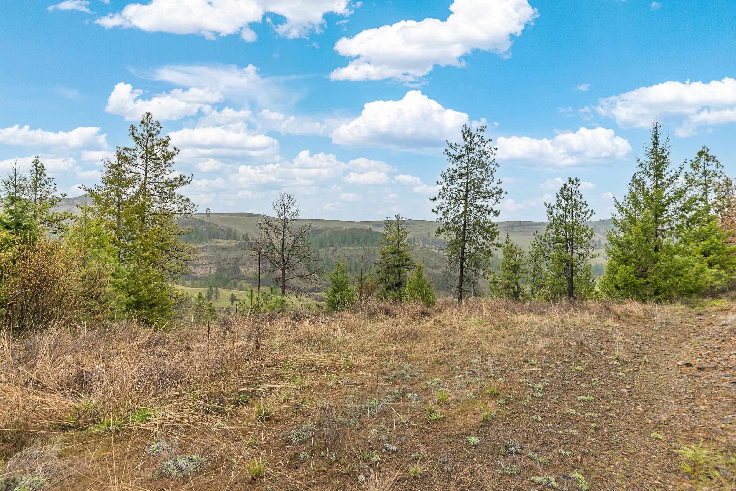 35394 Spruce Grouse Ln N - Photo 4