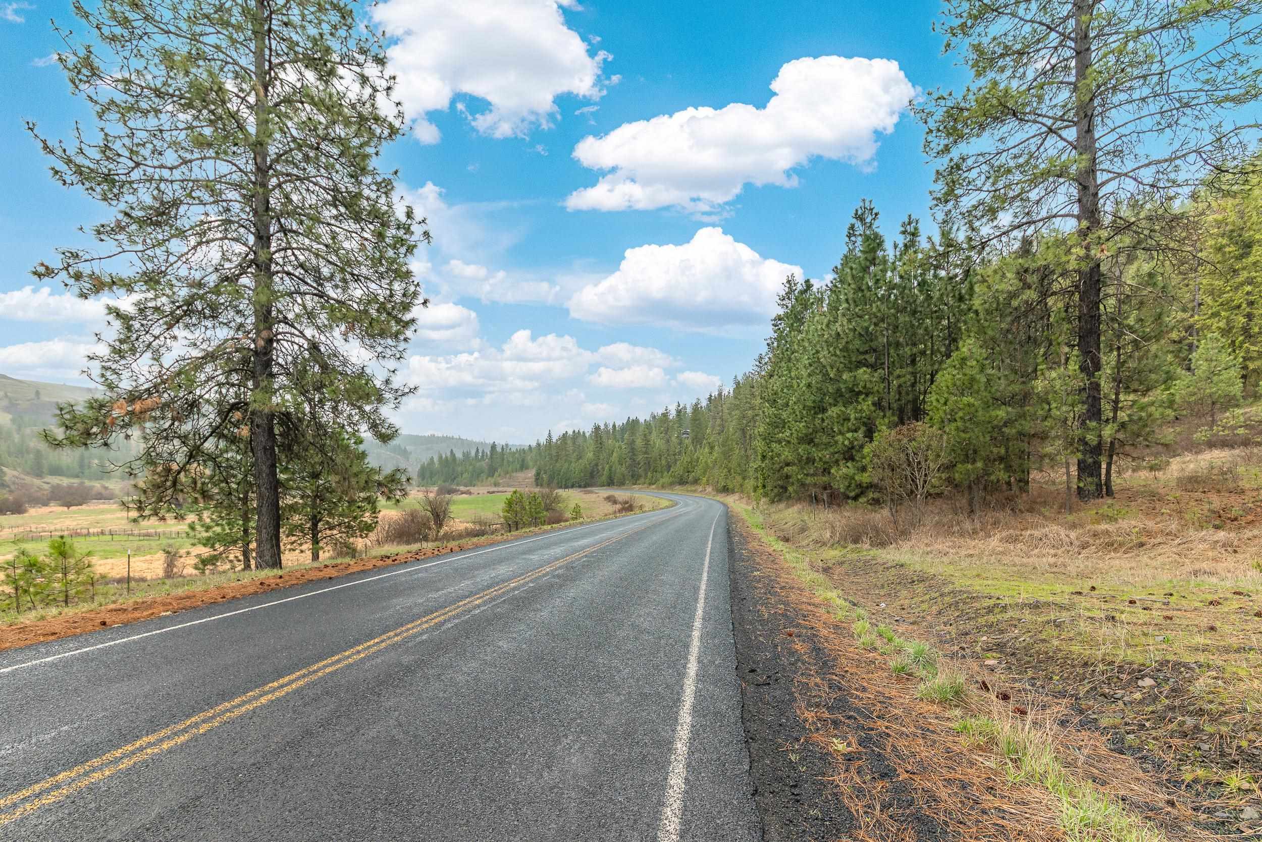 35394 Spruce Grouse Ln N - Photo 6