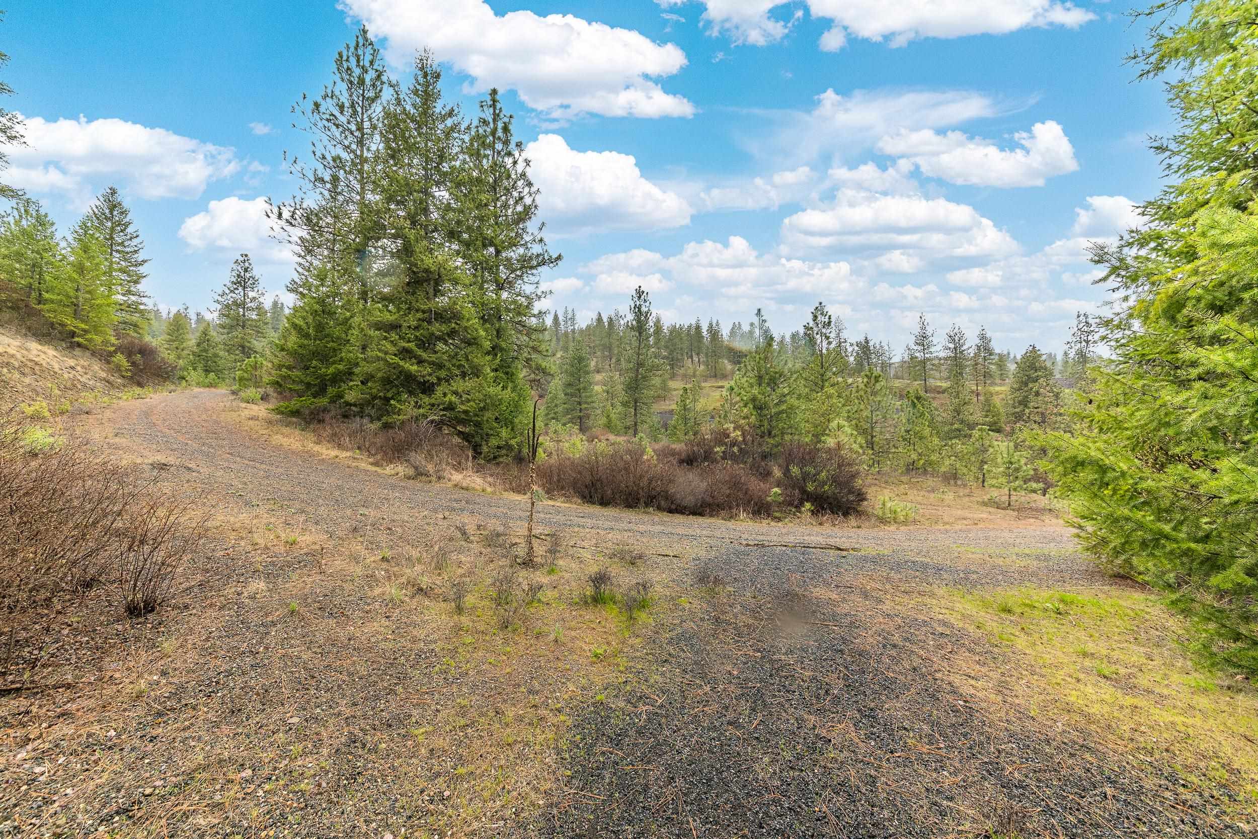 35394 Spruce Grouse Ln N - Photo 7