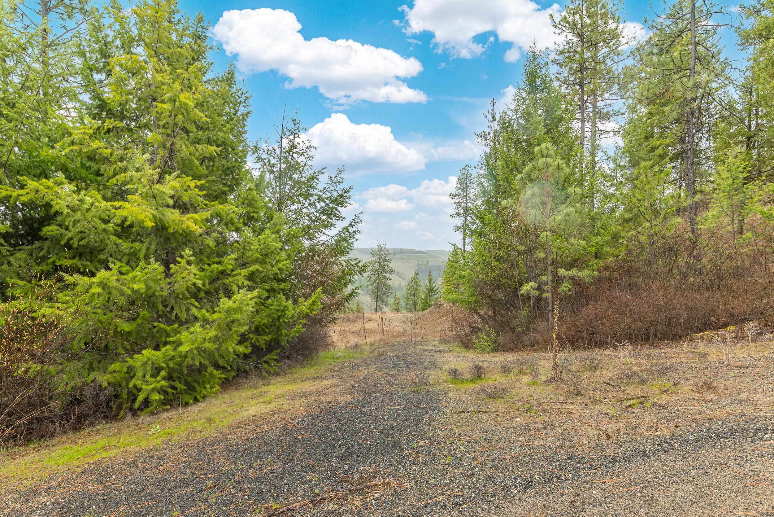 35394 Spruce Grouse Ln N - Photo 8