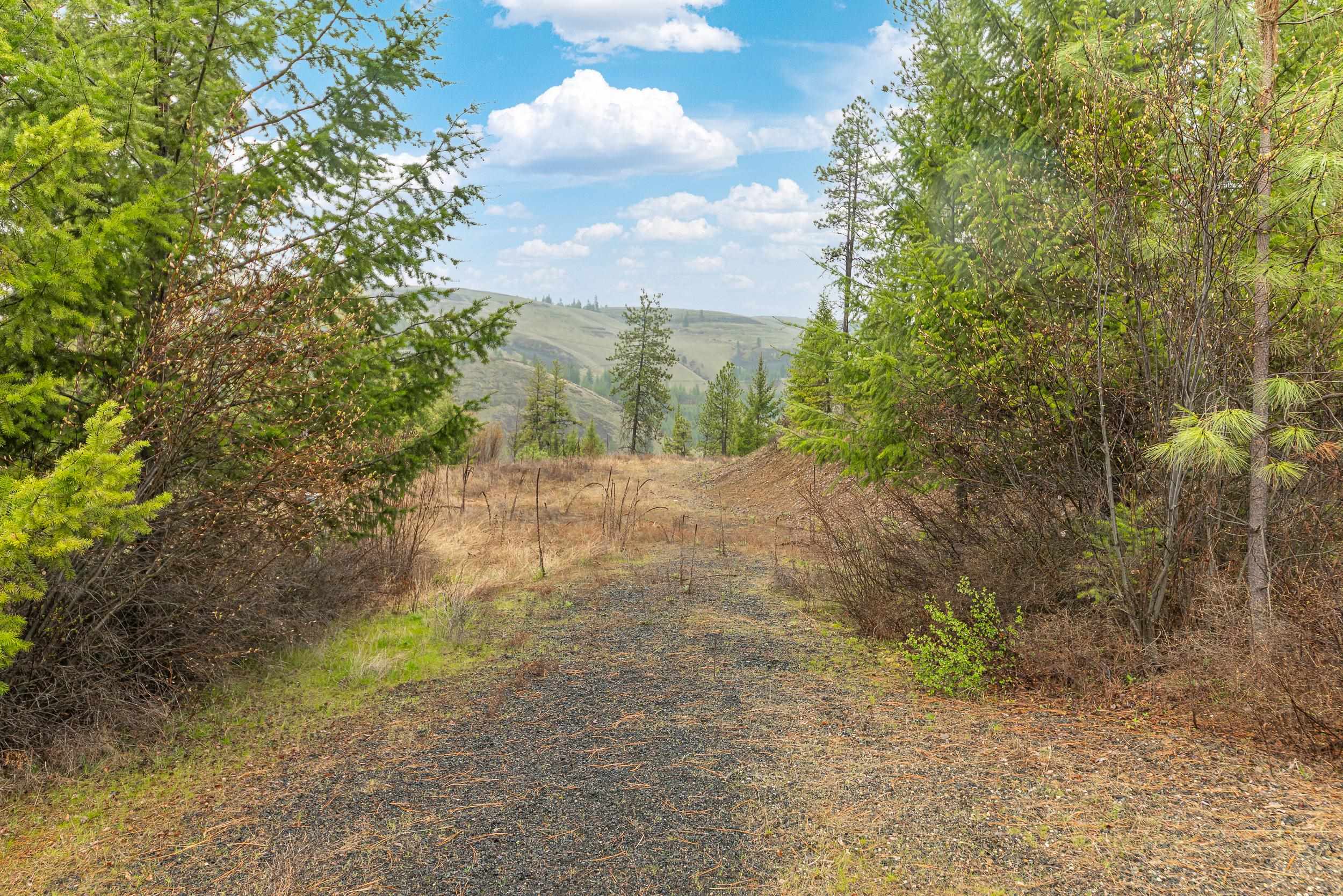 35394 Spruce Grouse Ln N - Photo 9