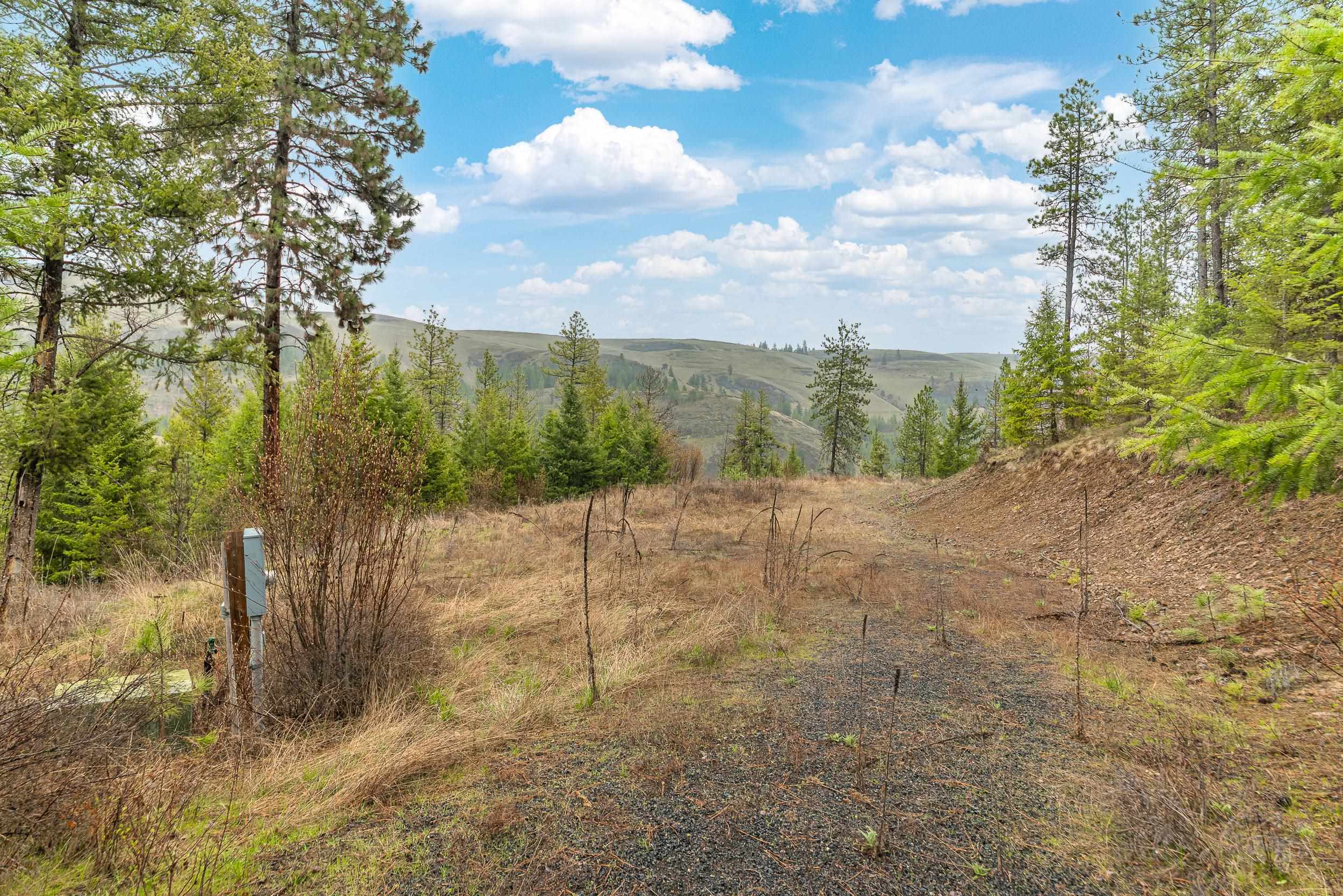 35394 Spruce Grouse Ln N - Photo 10