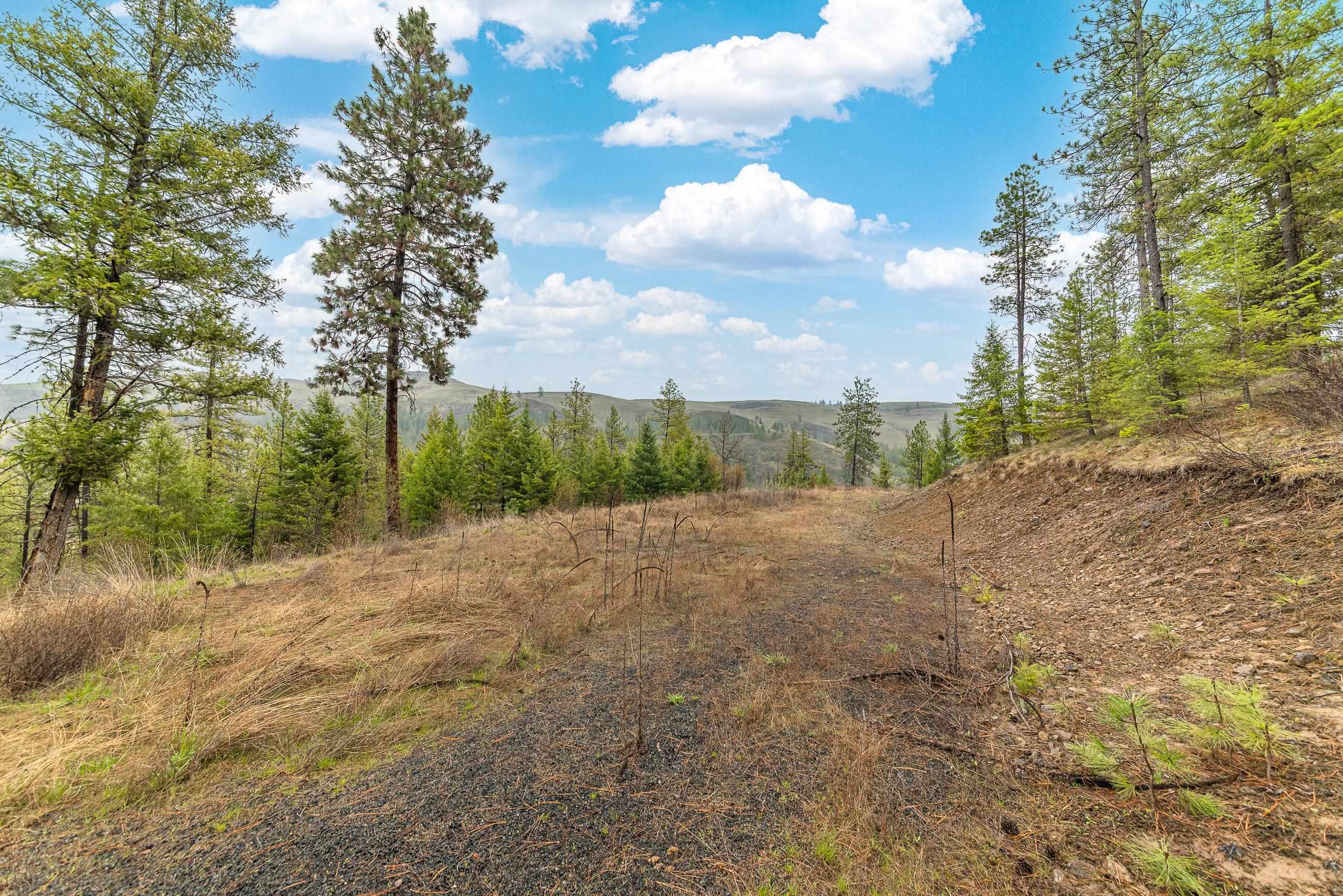 35394 Spruce Grouse Ln N - Photo 11