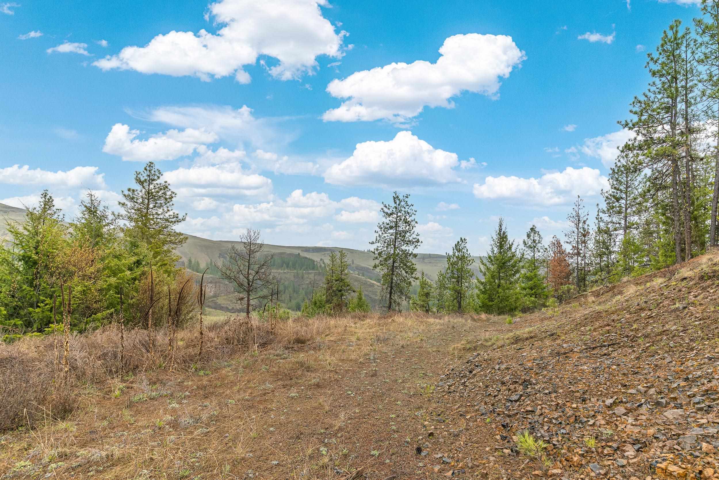 35394 Spruce Grouse Ln N - Photo 13