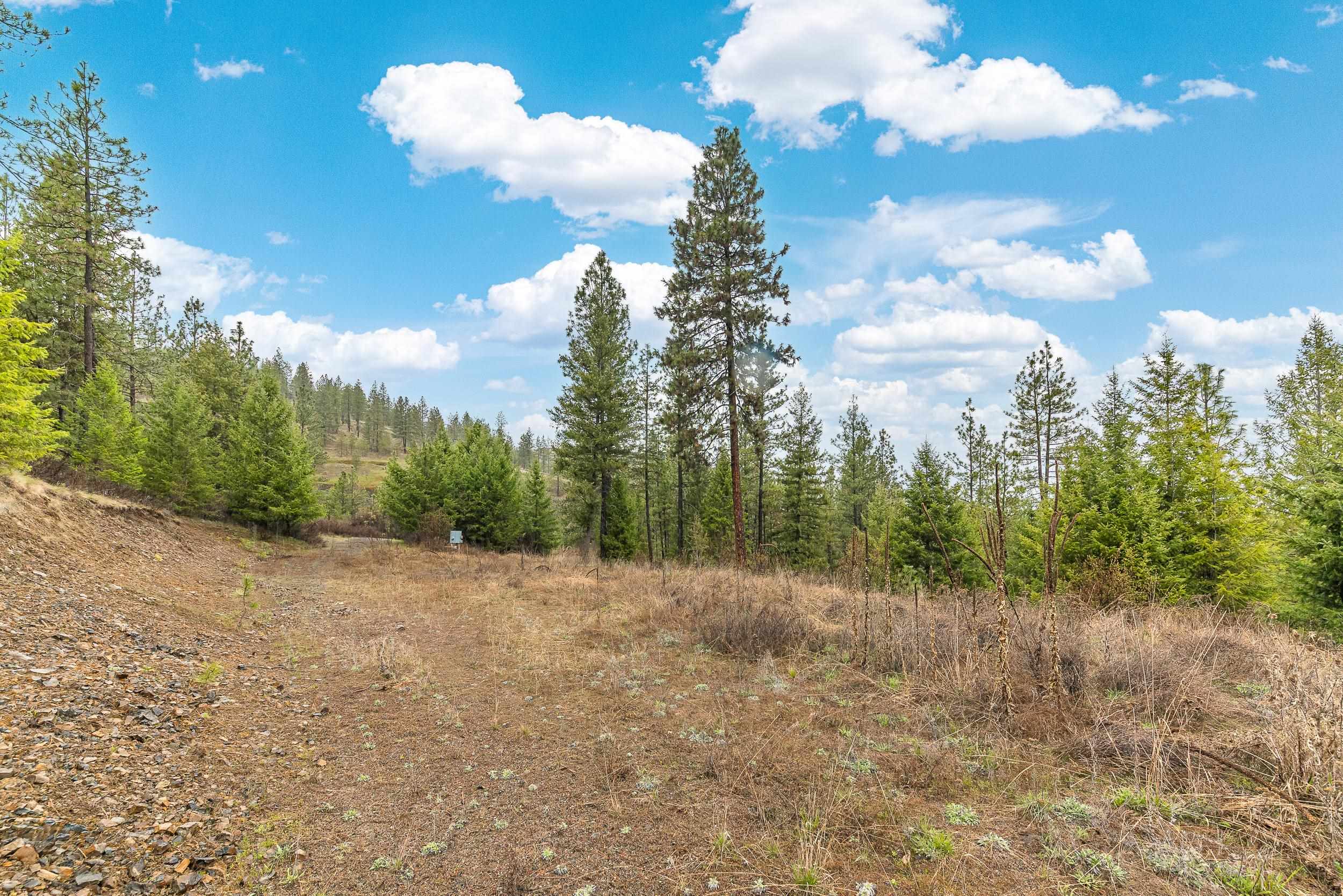 35394 Spruce Grouse Ln N - Photo 14