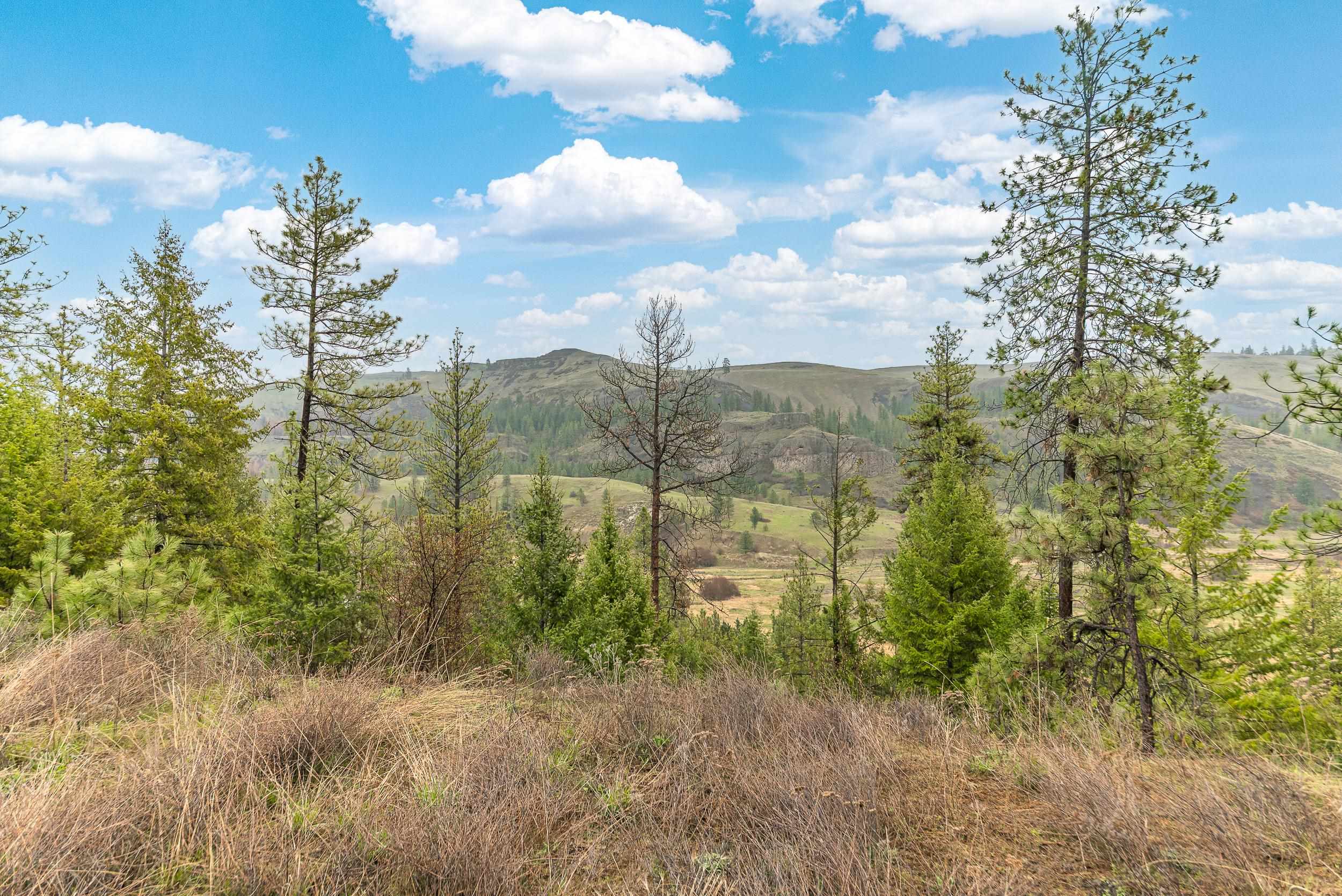 35394 Spruce Grouse Ln N - Photo 15