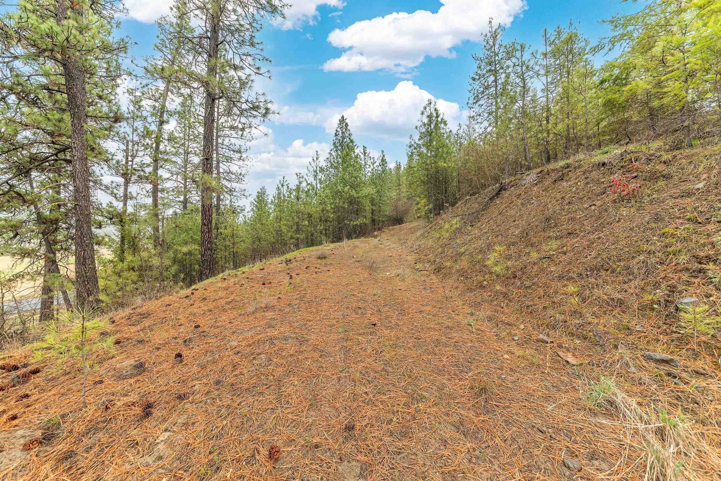 35394 Spruce Grouse Ln N - Photo 17
