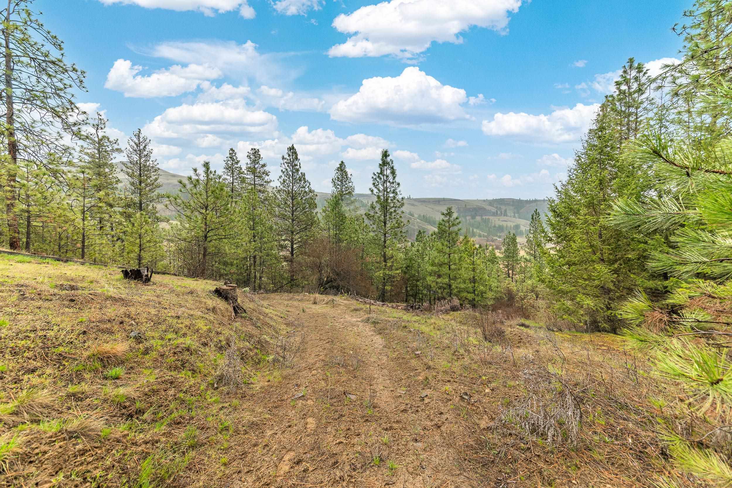 35394 Spruce Grouse Ln N - Photo 18