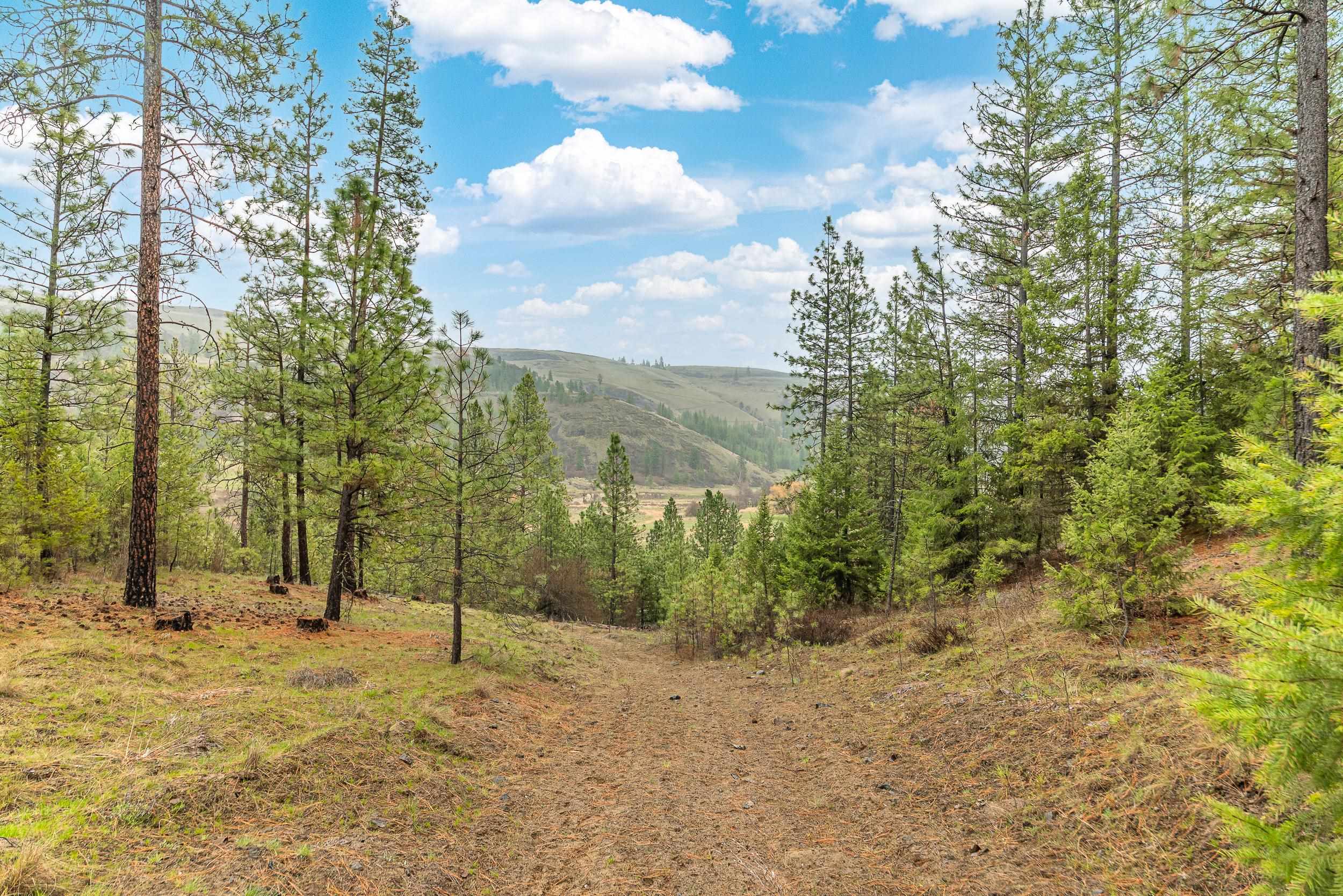 35394 Spruce Grouse Ln N - Photo 19