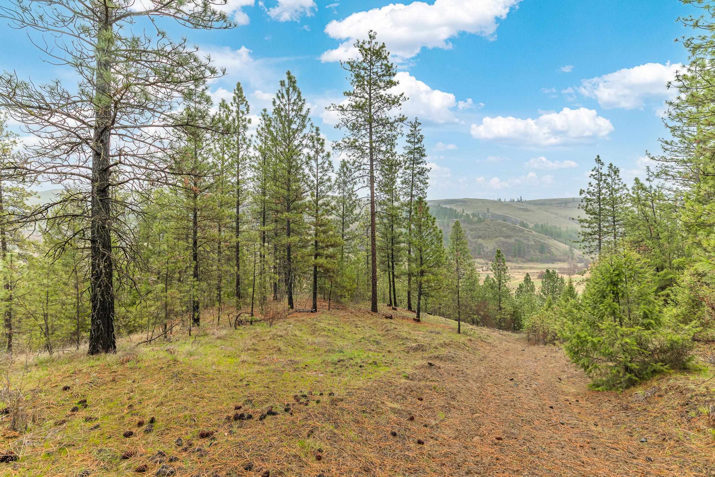 35394 Spruce Grouse Ln N - Photo 20