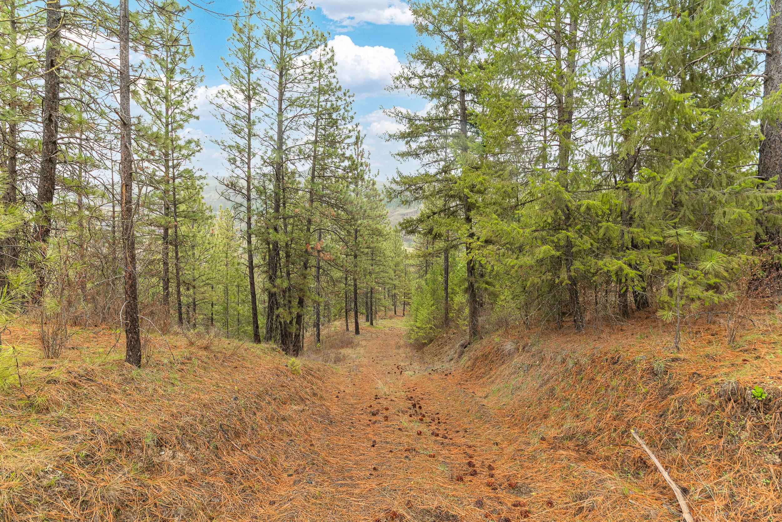 35394 Spruce Grouse Ln N - Photo 21