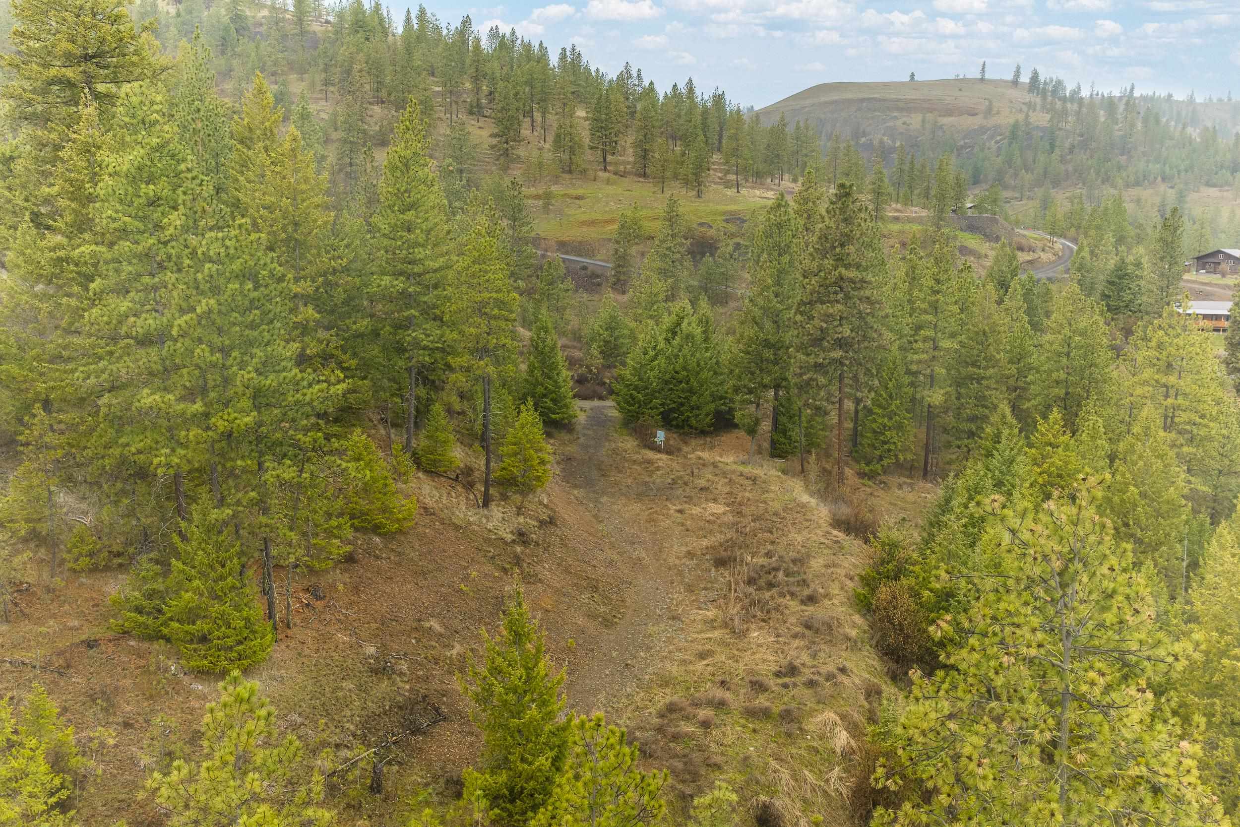 35394 Spruce Grouse Ln N - Photo 22