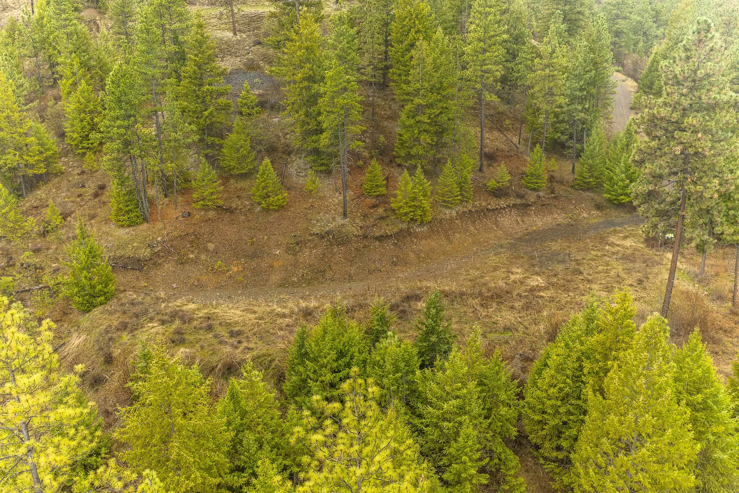 35394 Spruce Grouse Ln N - Photo 23