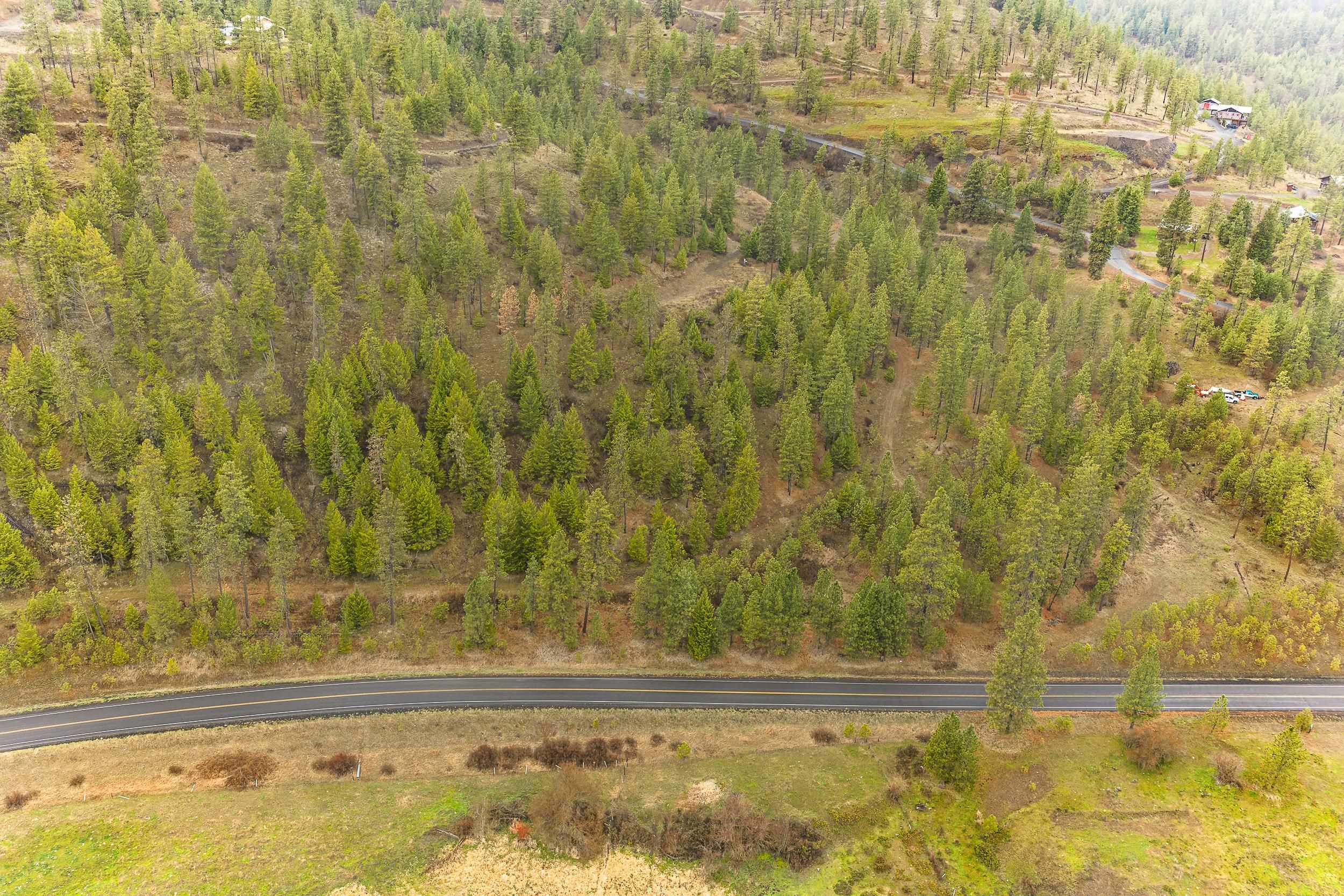 35394 Spruce Grouse Ln N - Photo 24