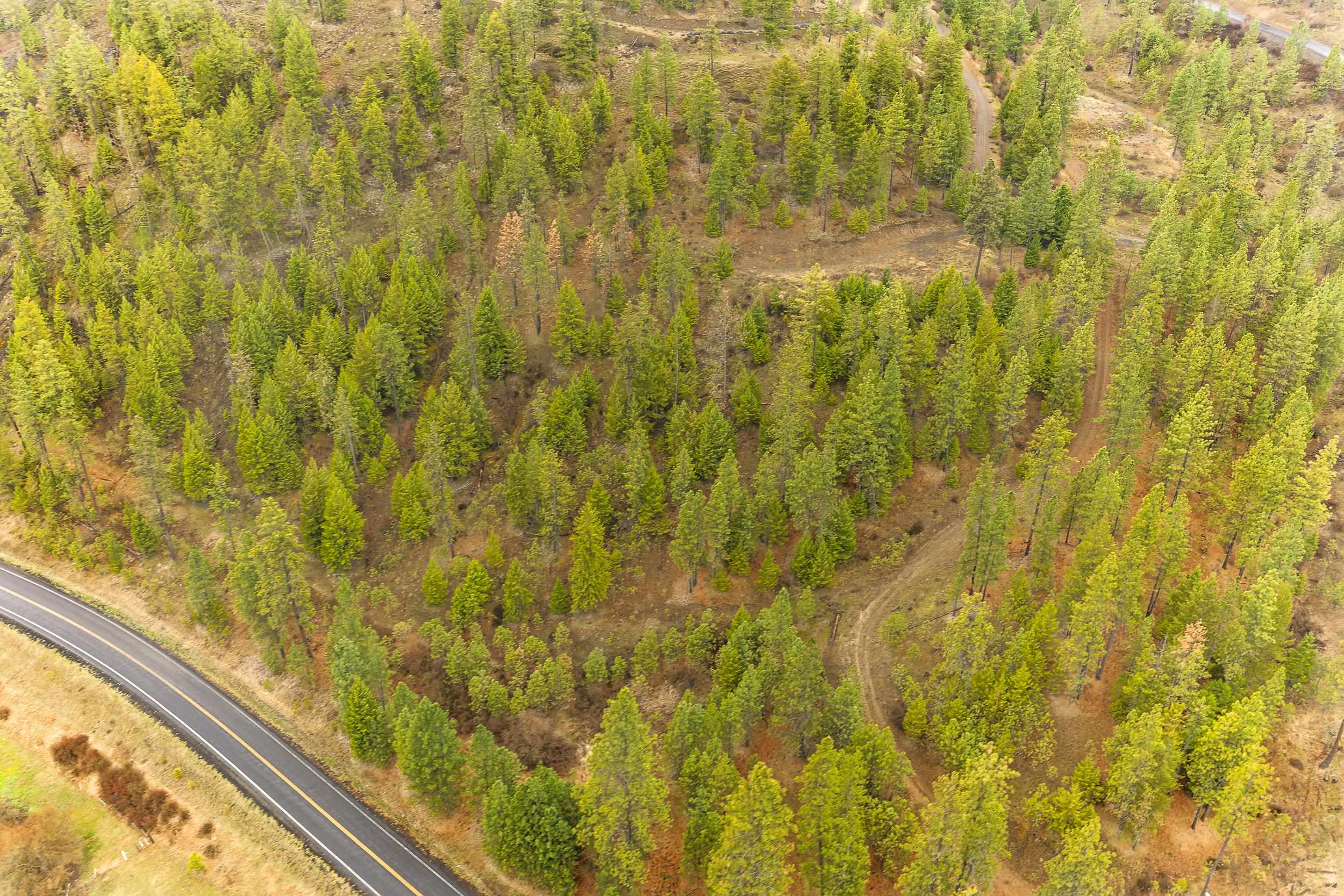 35394 Spruce Grouse Ln N - Photo 26