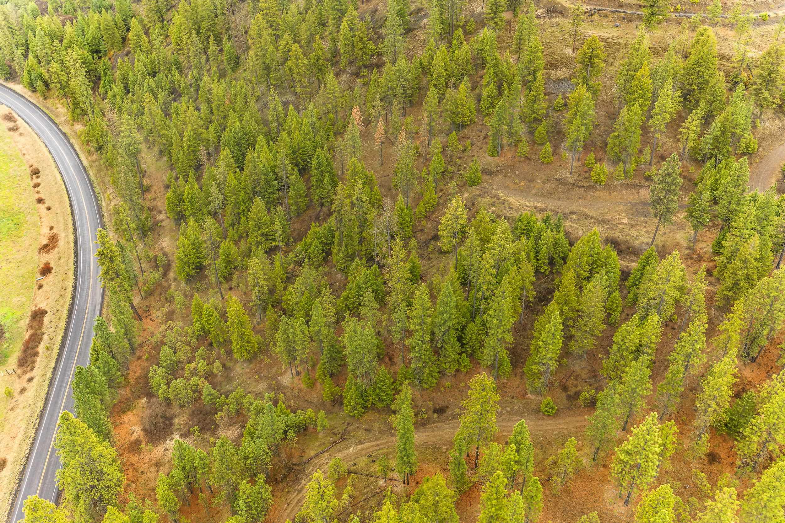 35394 Spruce Grouse Ln N - Photo 27