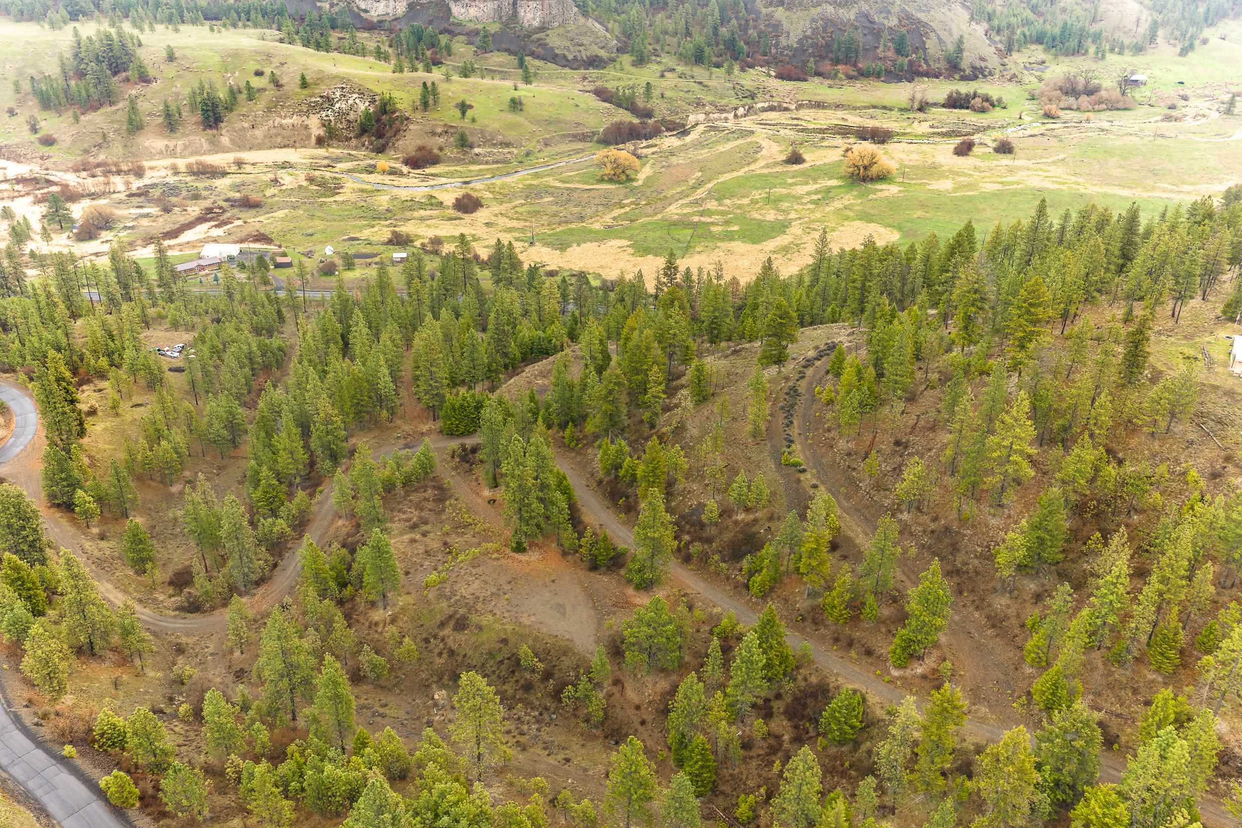 35394 Spruce Grouse Ln N - Photo 32