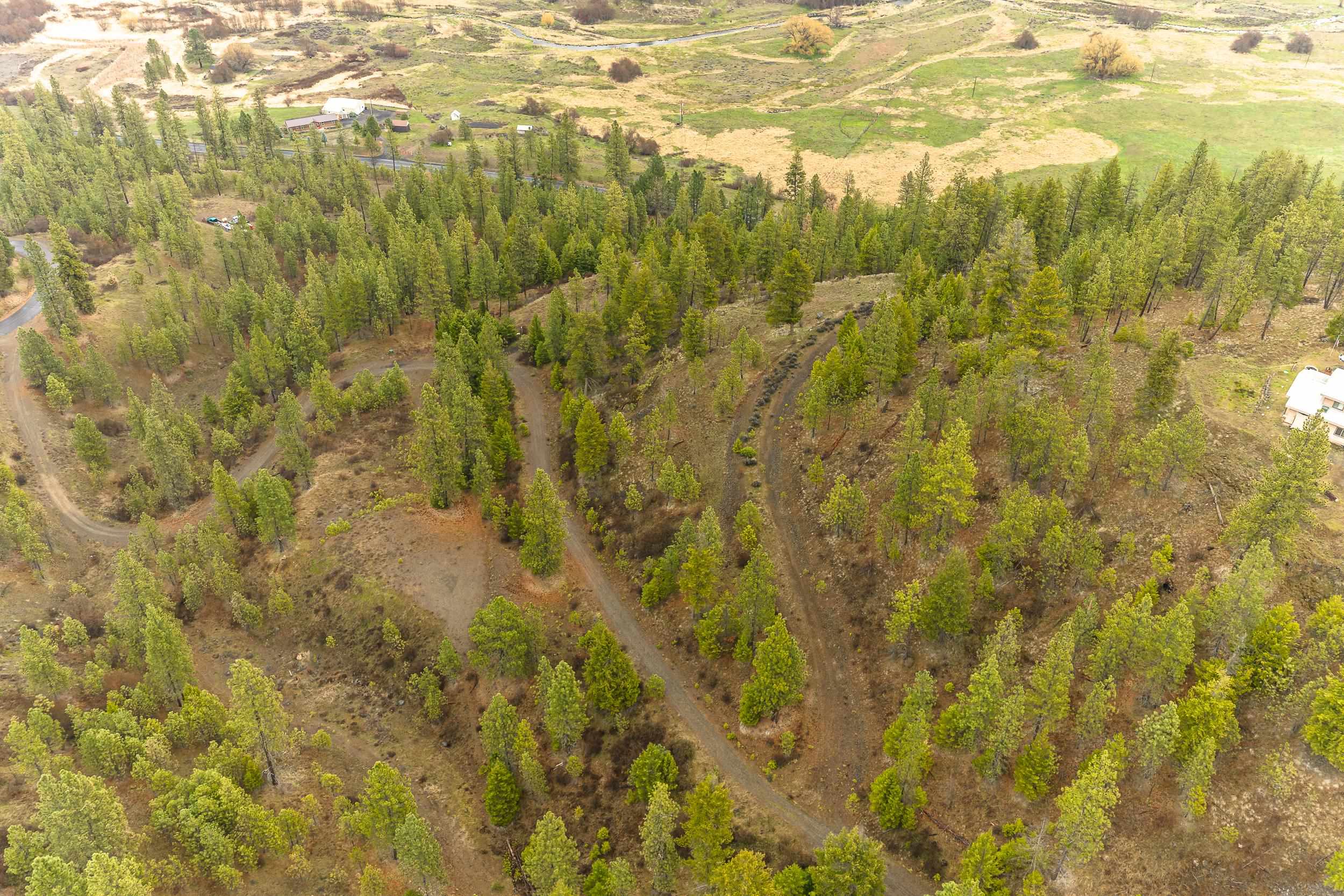 35394 Spruce Grouse Ln N - Photo 35