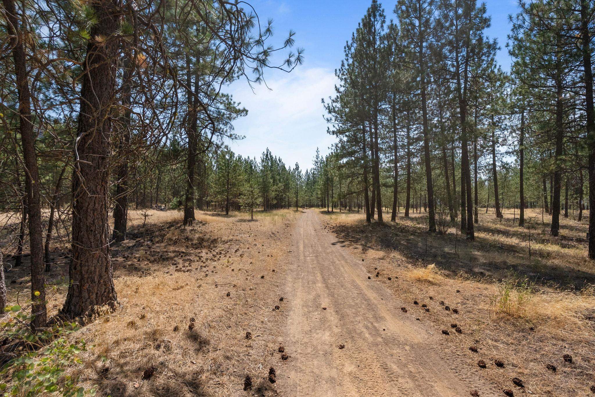 00 N MATHIAS Ln - Photo 3