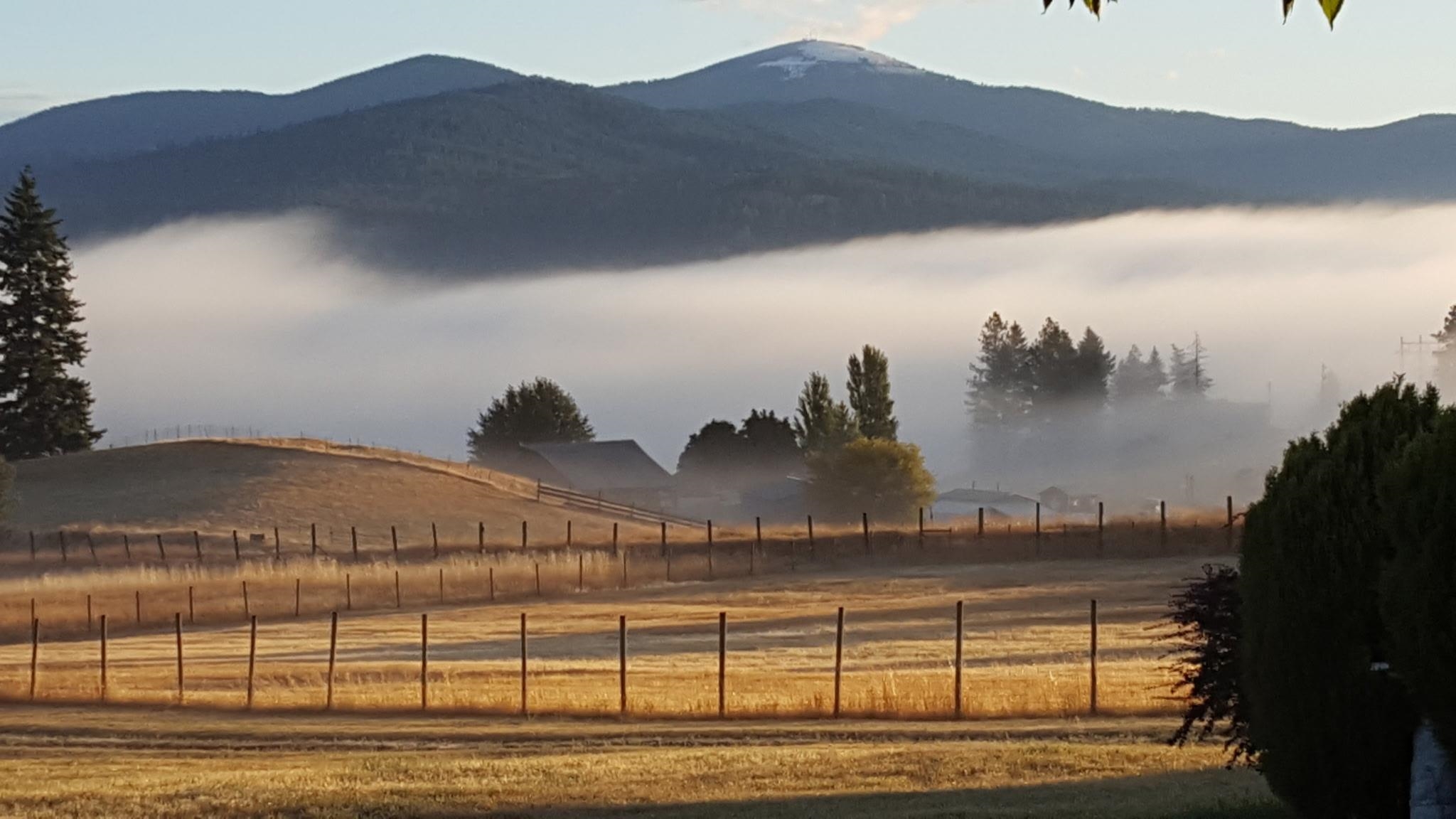 11726 E Day- Mt Spokane Rd - Photo 23