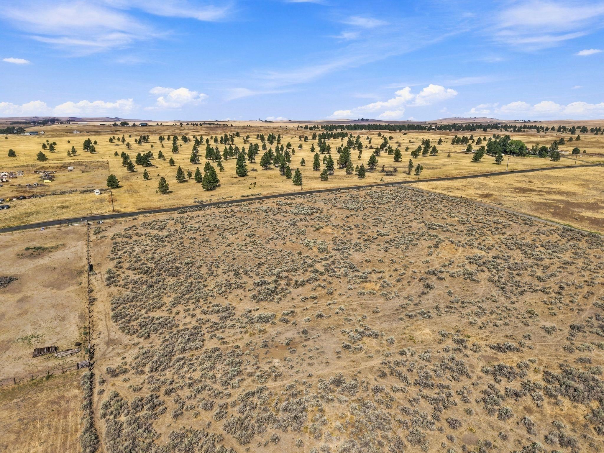 11XX S Ritchey Rd - Photo 5