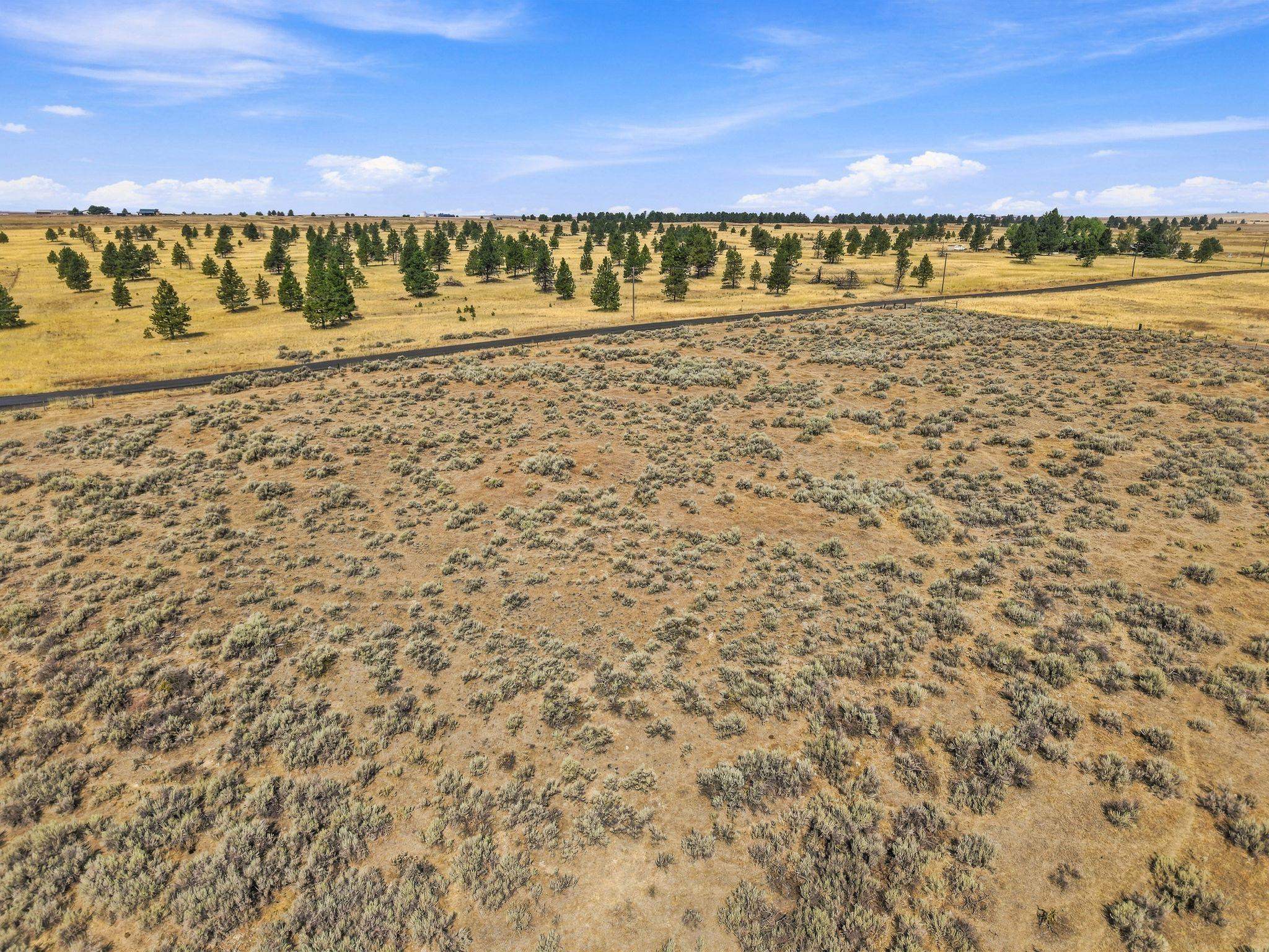 11XX S Ritchey Rd - Photo 8