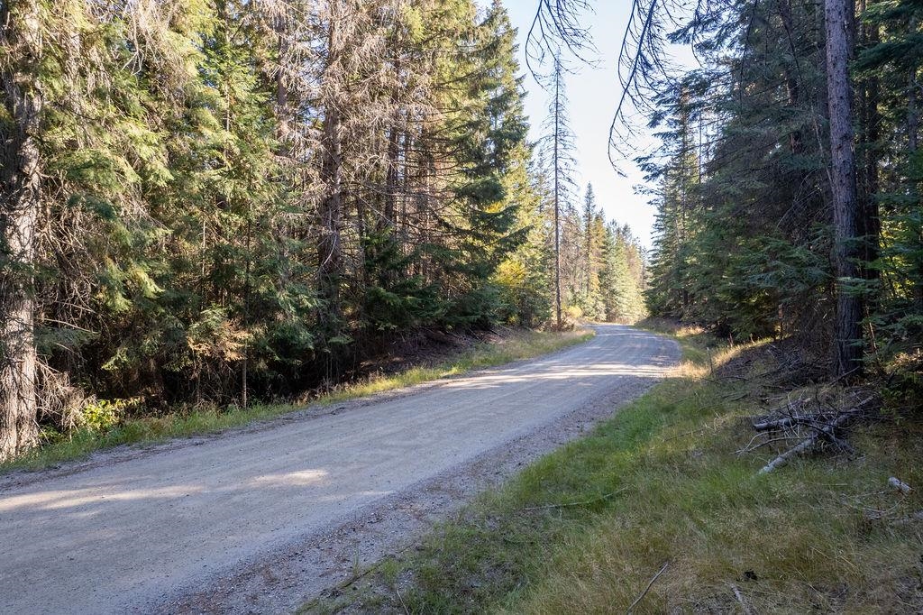 1416 Aspen Creek Rd - Photo 2
