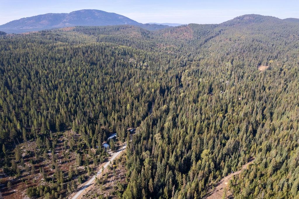 1416 Aspen Creek Rd - Photo 4