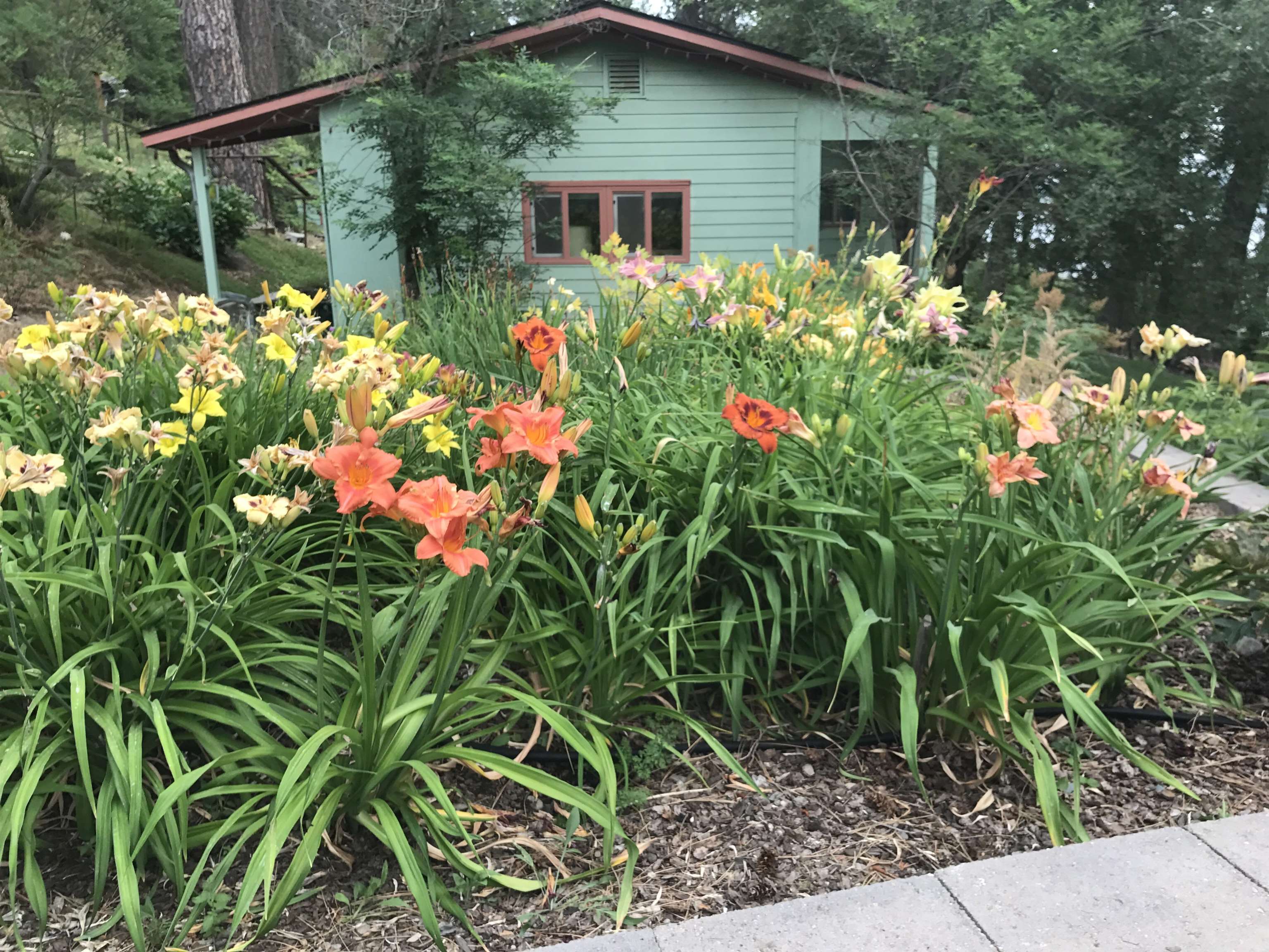2026 E Sandy Beach Rd - Photo 47
