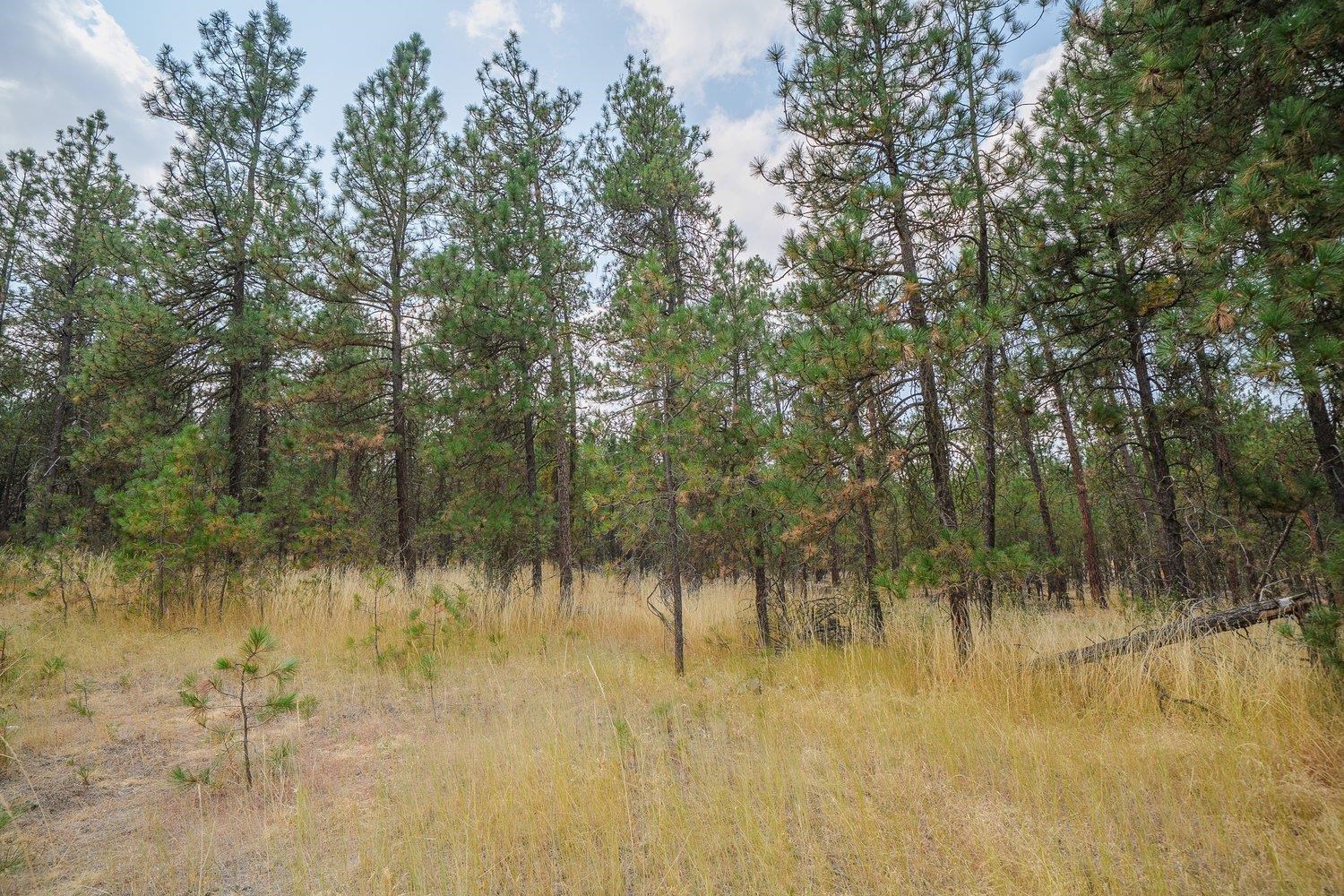 7804 W Trails Rd - Photo 38