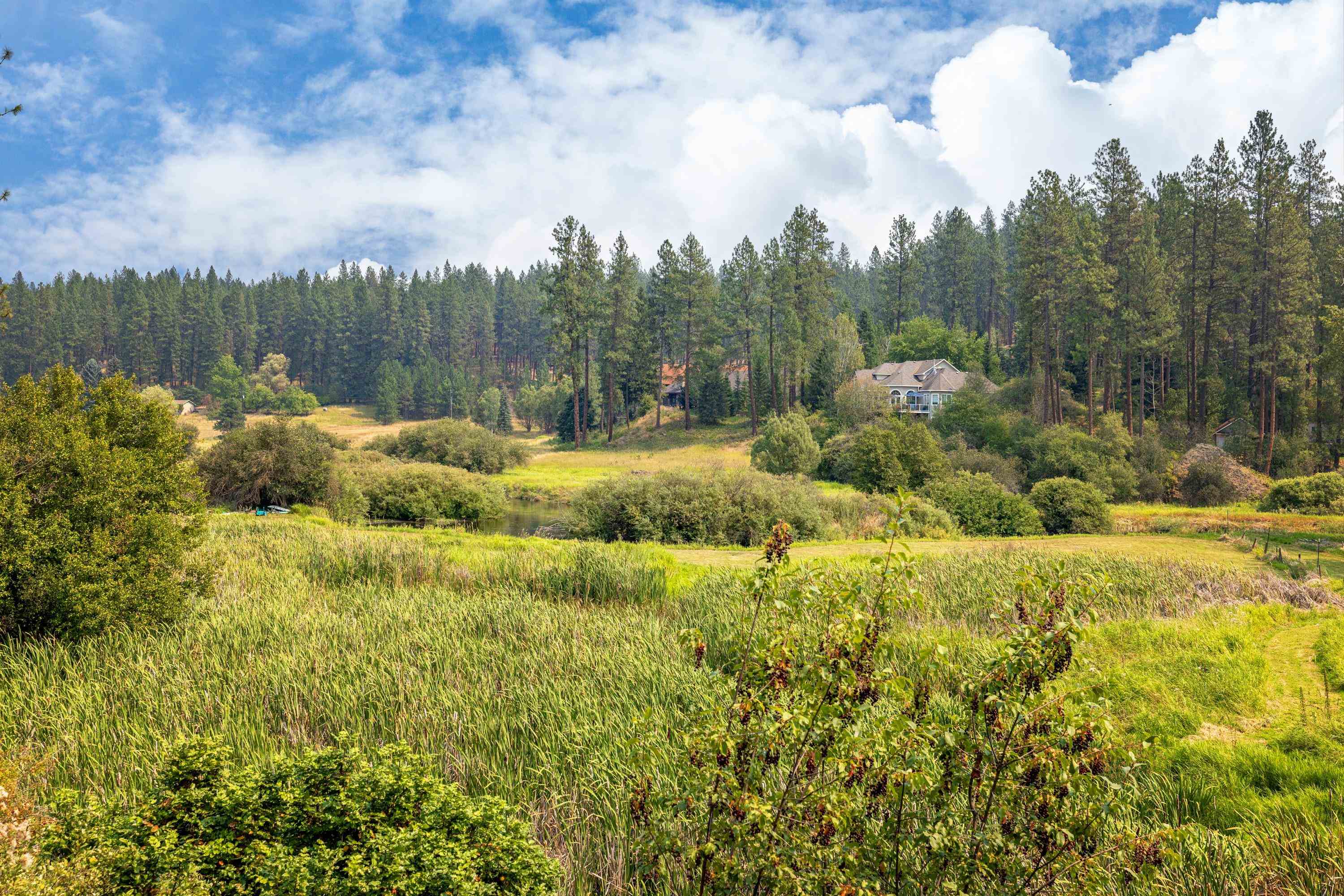 16322 N Little Spokane Dr - Photo 45