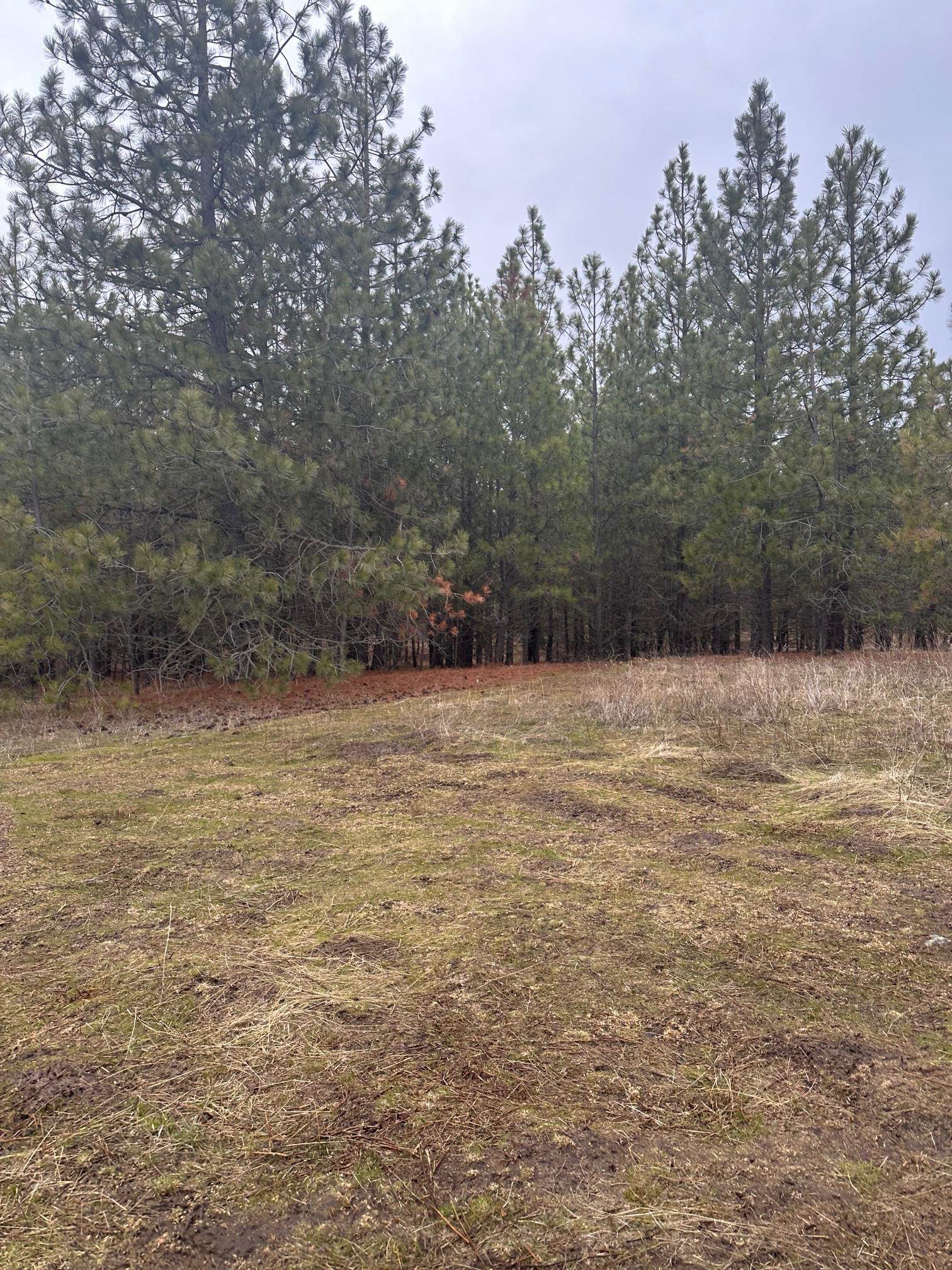 18427 W Burnett Rd - Photo 19
