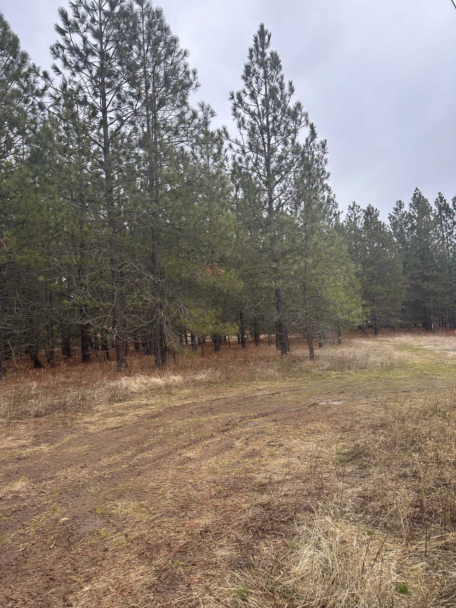 18427 W Burnett Rd - Photo 20