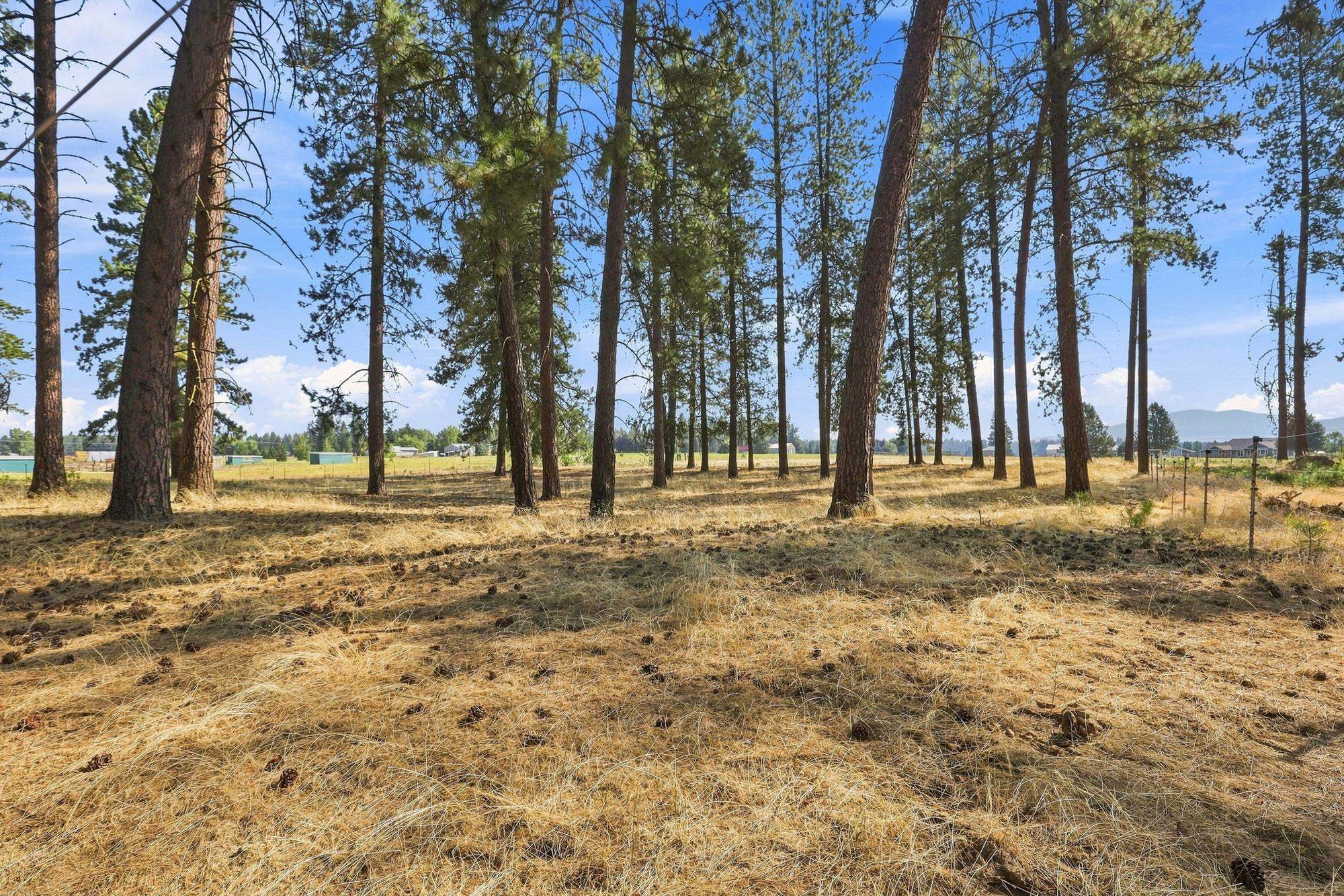 321 E Saltz Ln - Photo 30