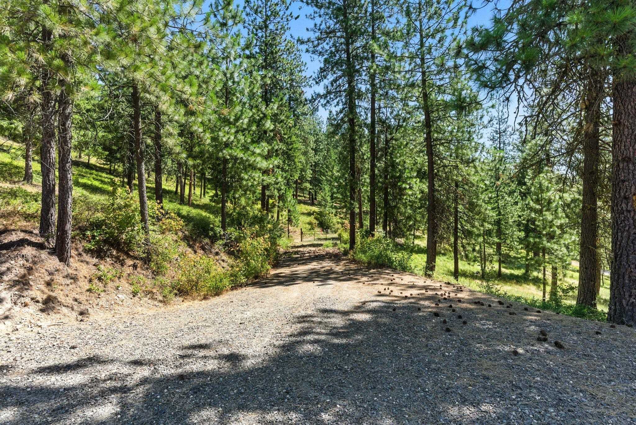 Lot 18 W Canyon Springs Way - Photo 17