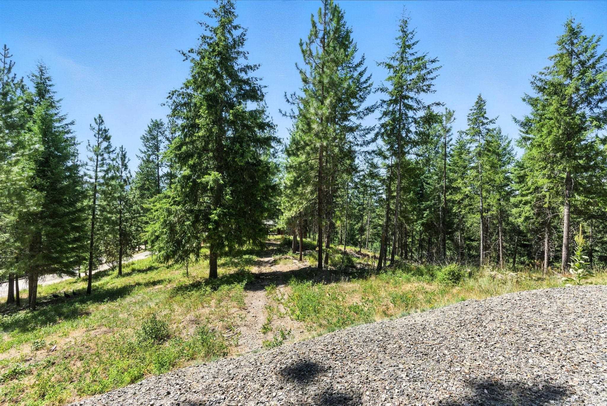 Lot 18 W Canyon Springs Way - Photo 19