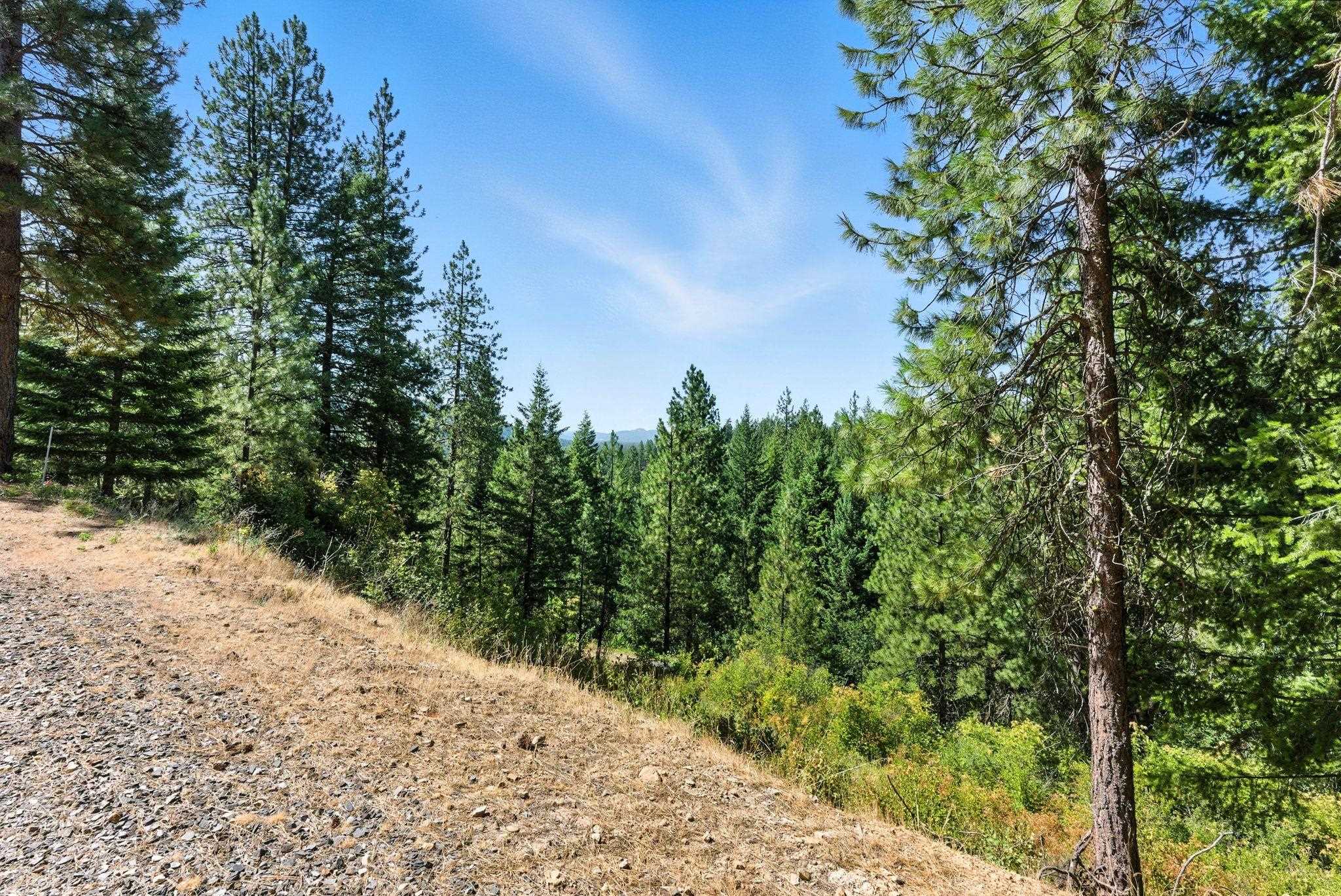 Lot 18 W Canyon Springs Way - Photo 21