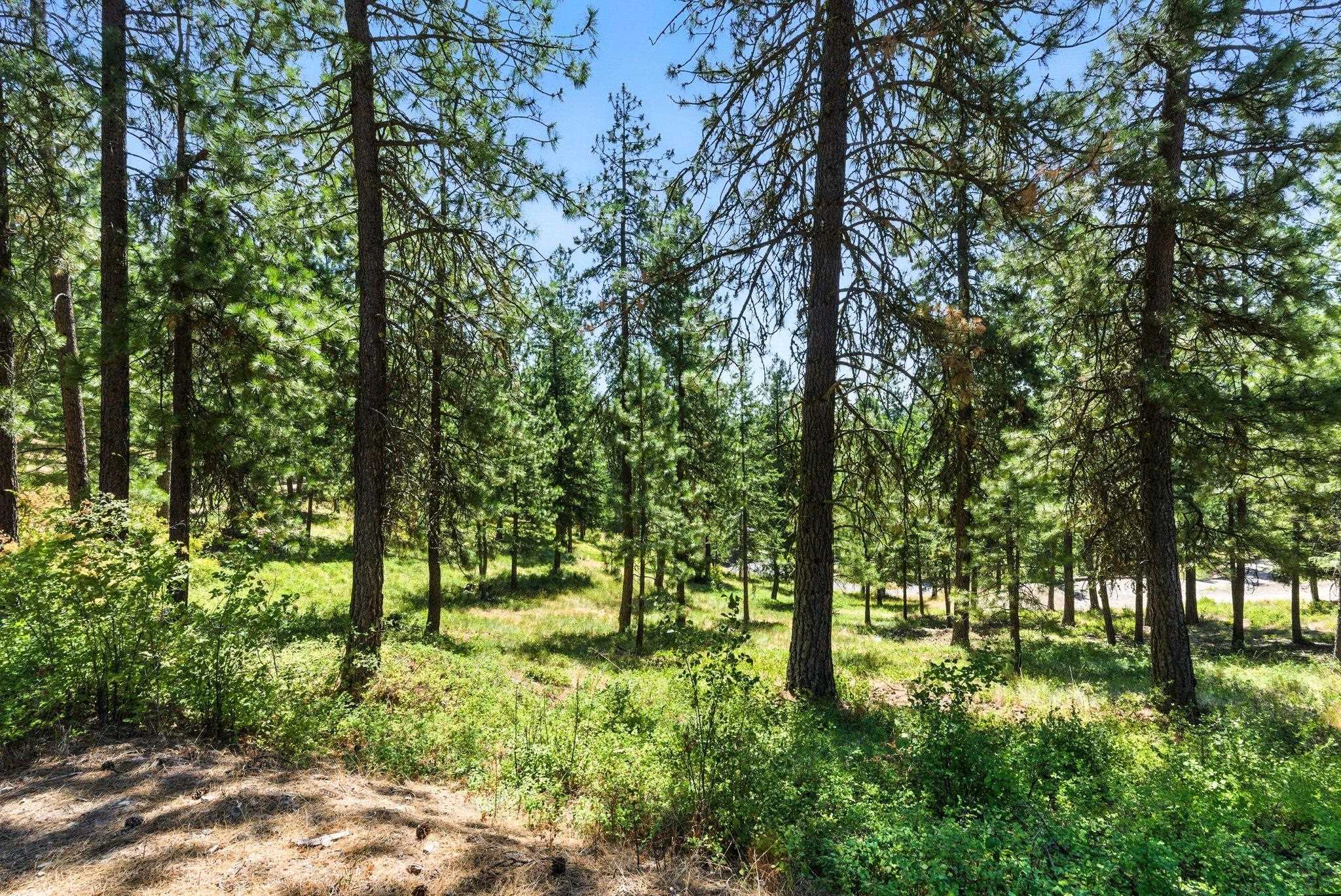 Lot 18 W Canyon Springs Way - Photo 27