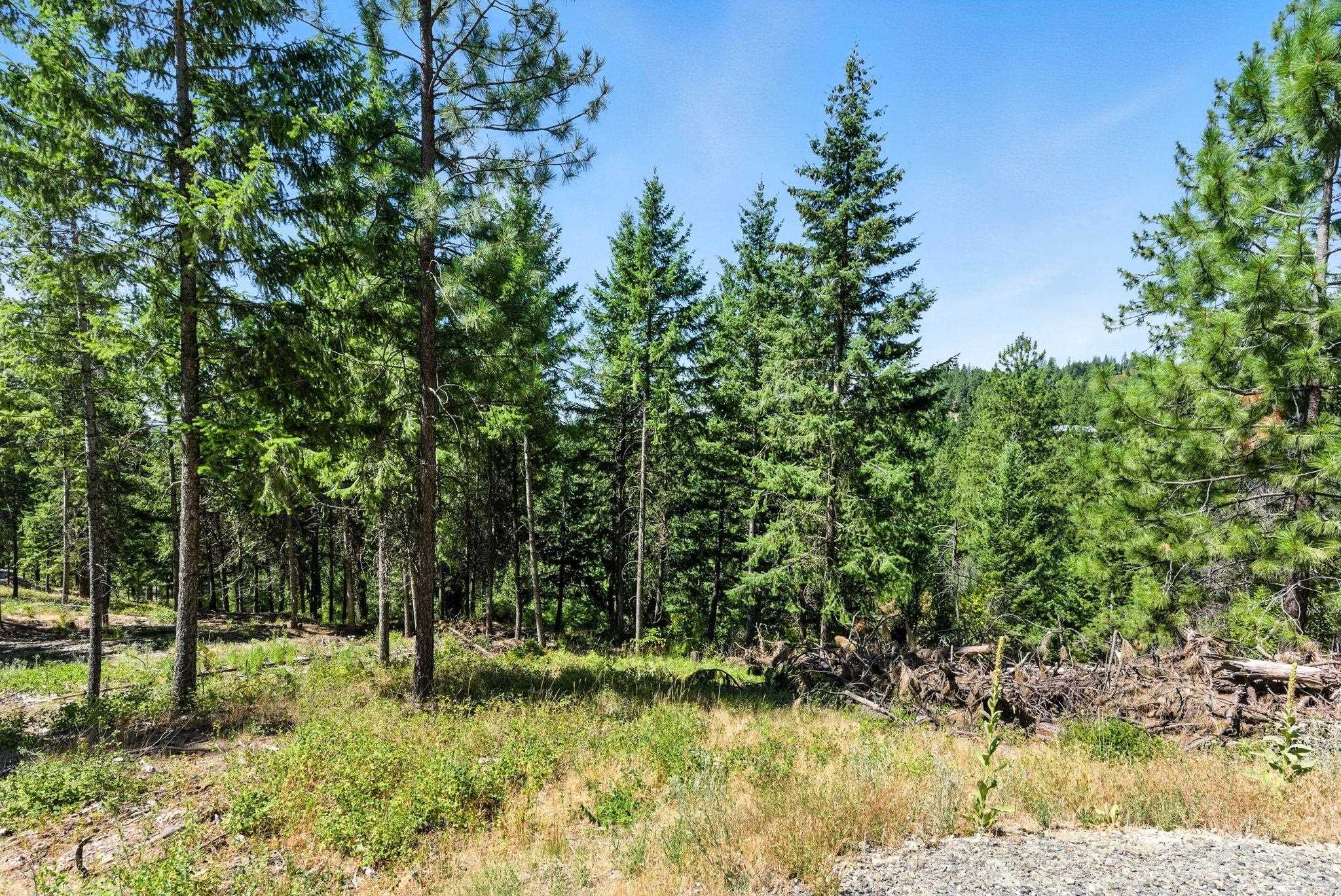 Lot 18 W Canyon Springs Way - Photo 28