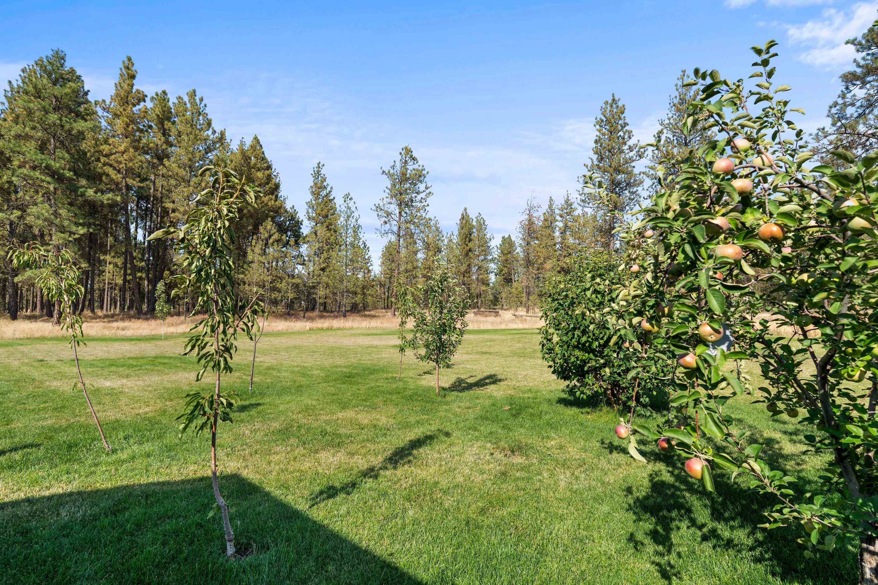 2010 W Pine Meadow Ln - Photo 37