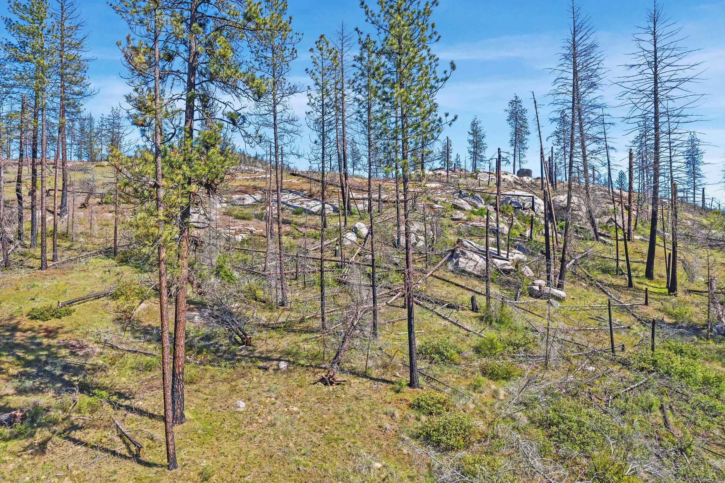 5067 Rail Canyon Rd - Photo 41