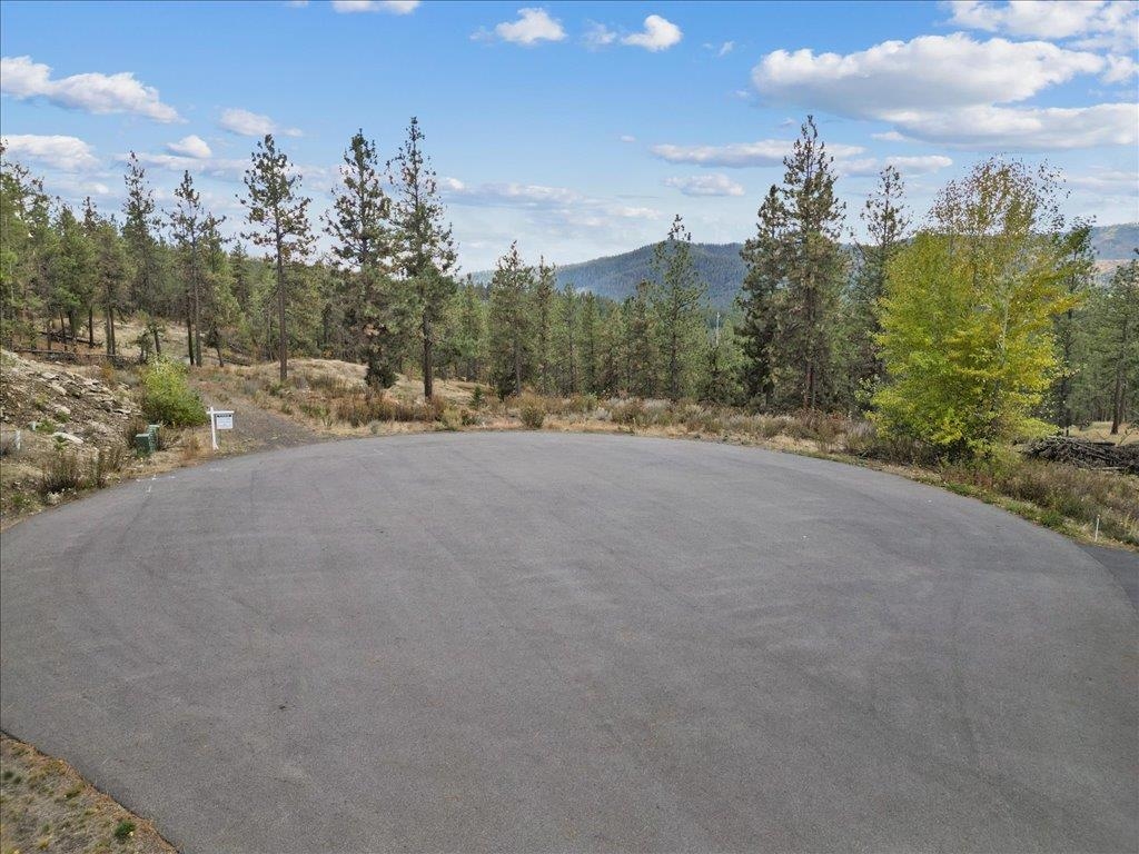 12616 E Chester Ridge Ln - Photo 5