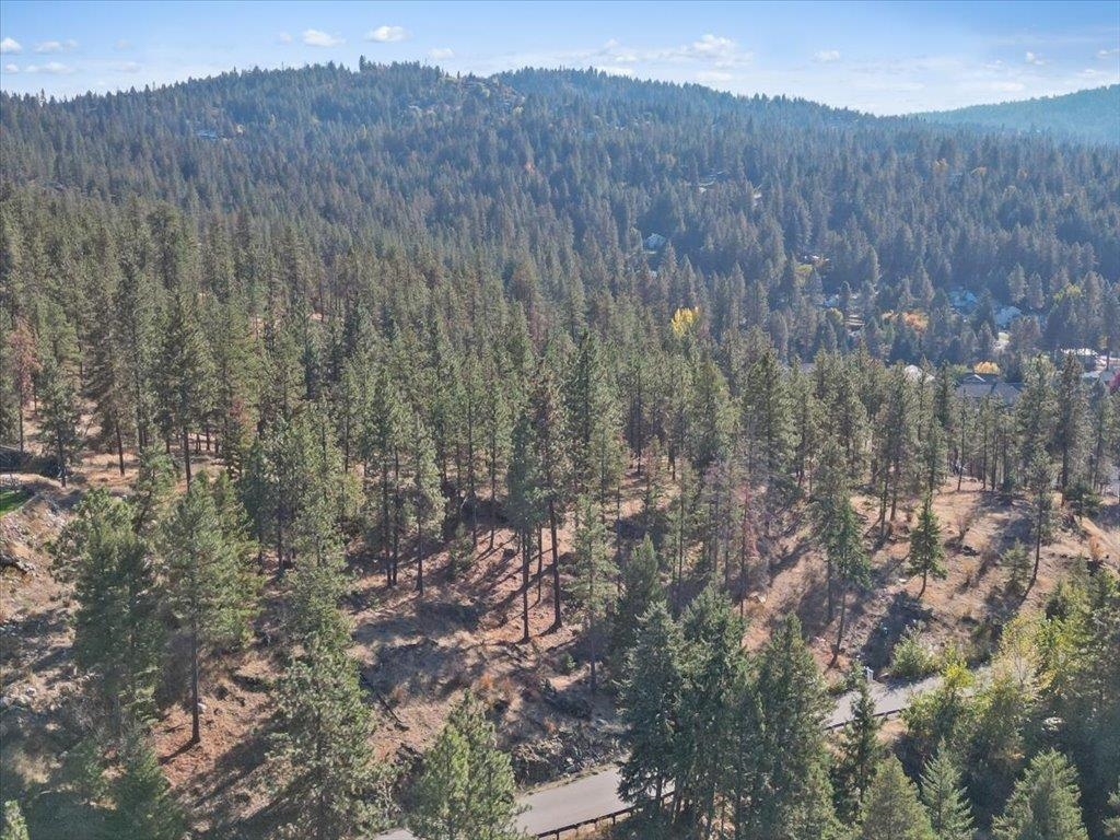 12616 E Chester Ridge Ln - Photo 6
