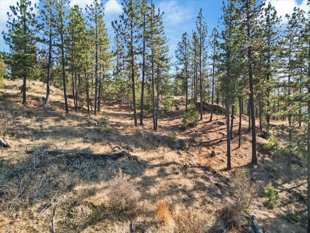 12616 E Chester Ridge Ln - Photo 11