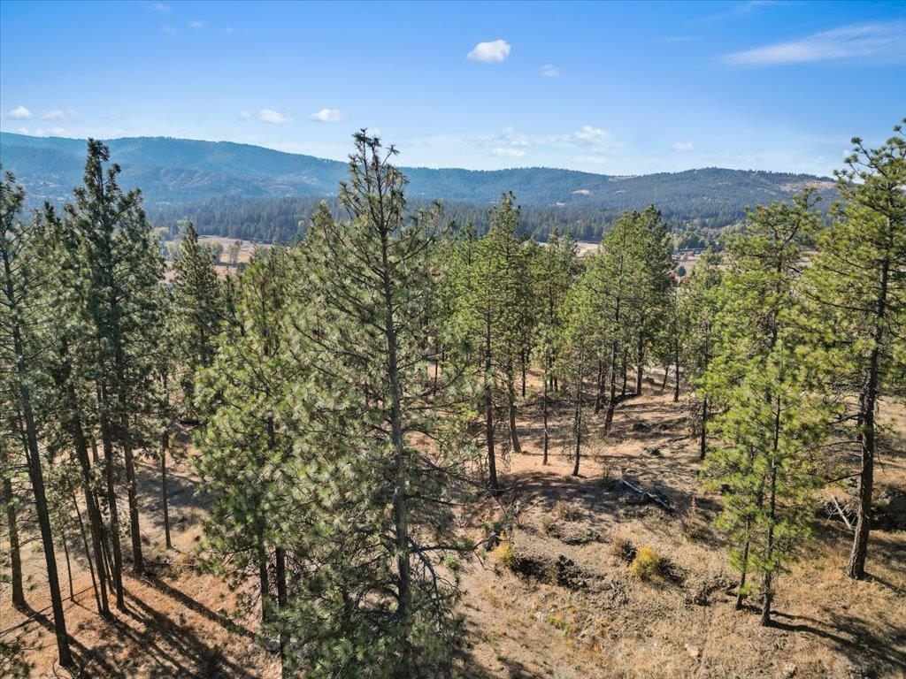 12616 E Chester Ridge Ln - Photo 15