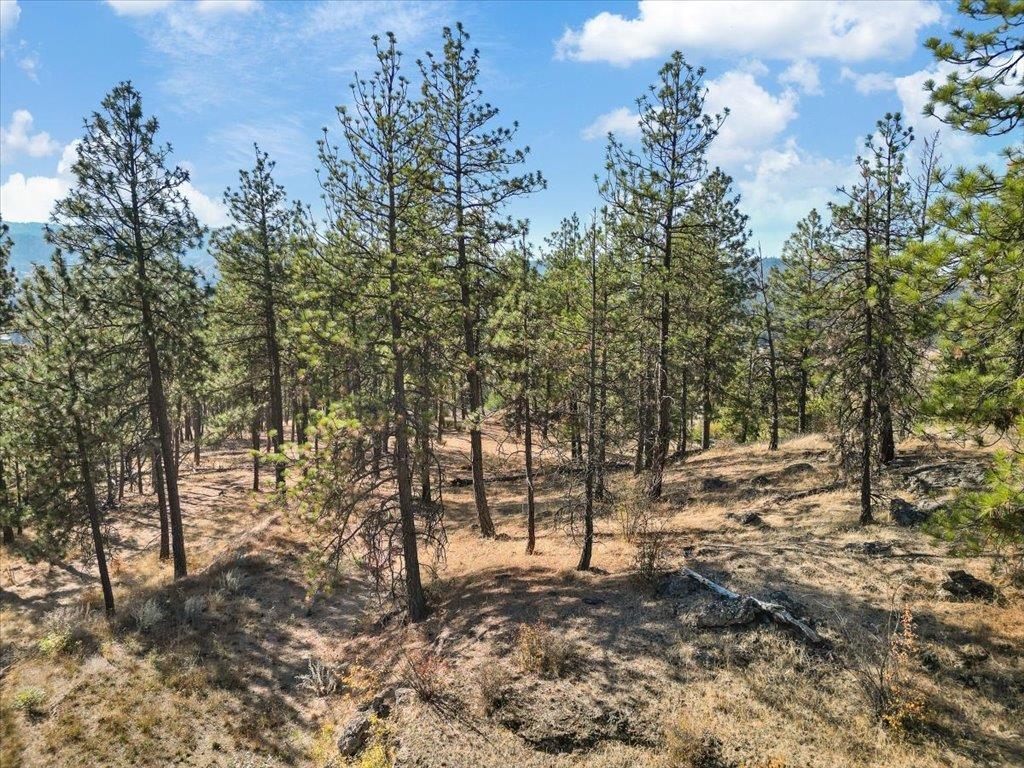 12616 E Chester Ridge Ln - Photo 16