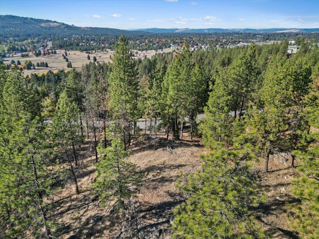 12616 E Chester Ridge Ln - Photo 18