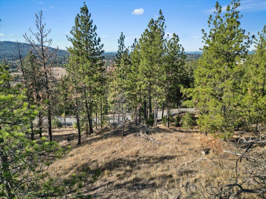 12616 E Chester Ridge Ln - Photo 19